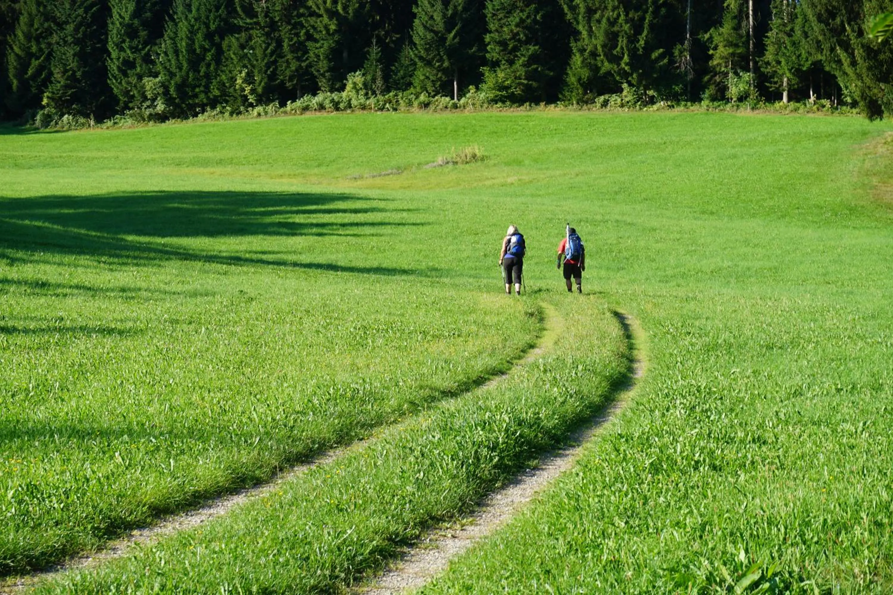 Hiking in Hotel-Restaurant Alpha
