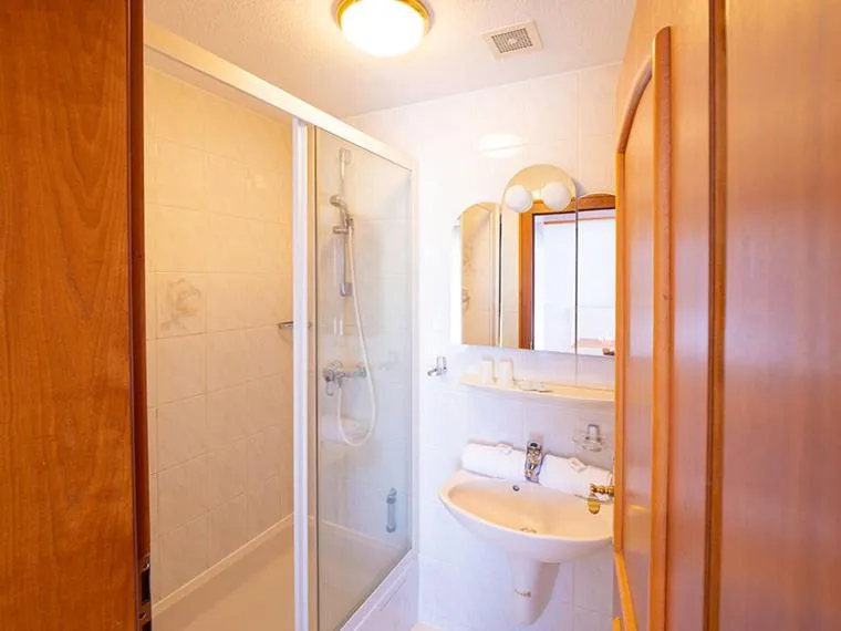 Double Room in Gasthof zur Alten Post