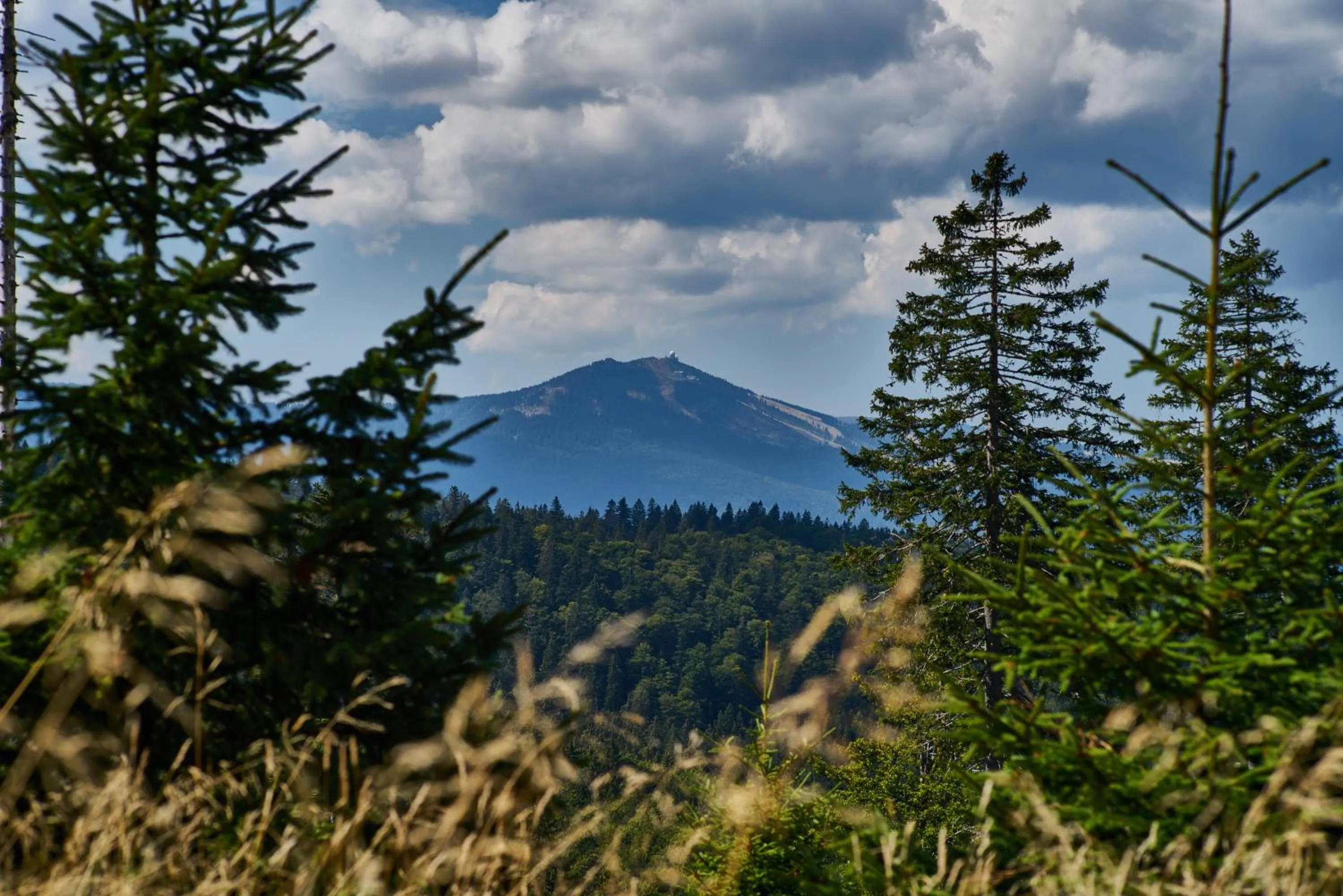 Nearby landmark in Ferienhotel Hubertus