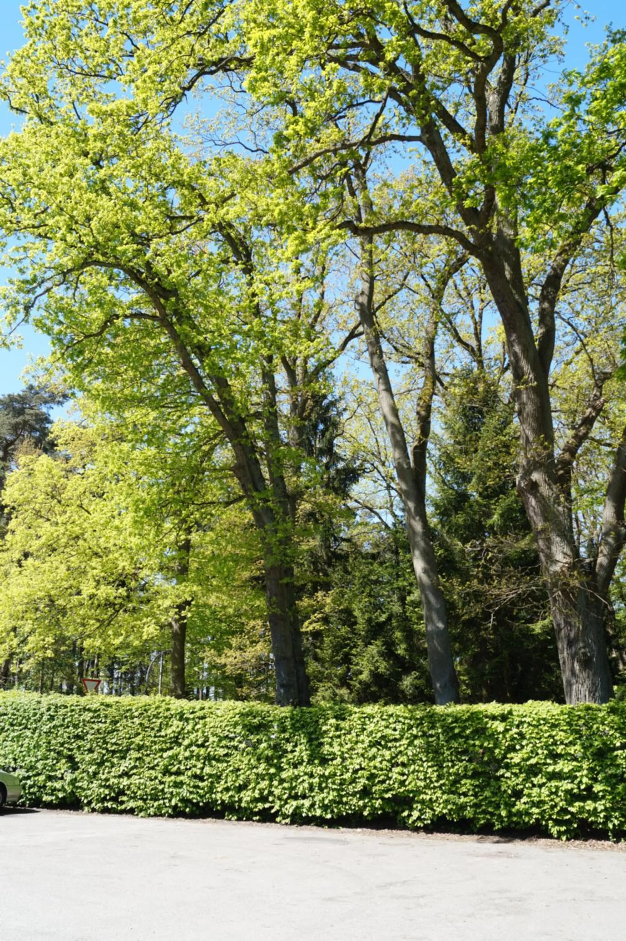 View (from property/room) in Hotel Forsthaus St. Hubertus