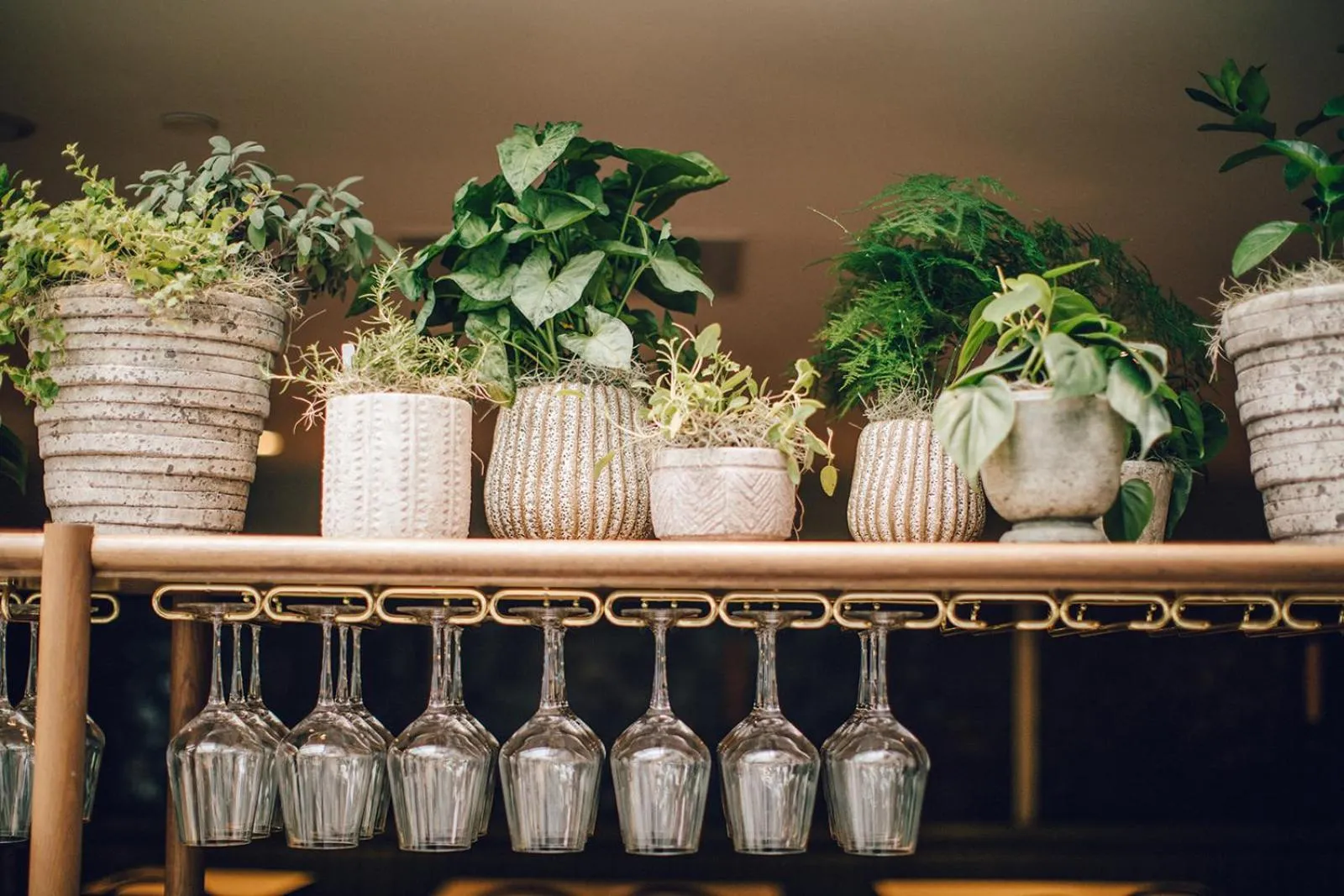 Lounge or bar in Emeline