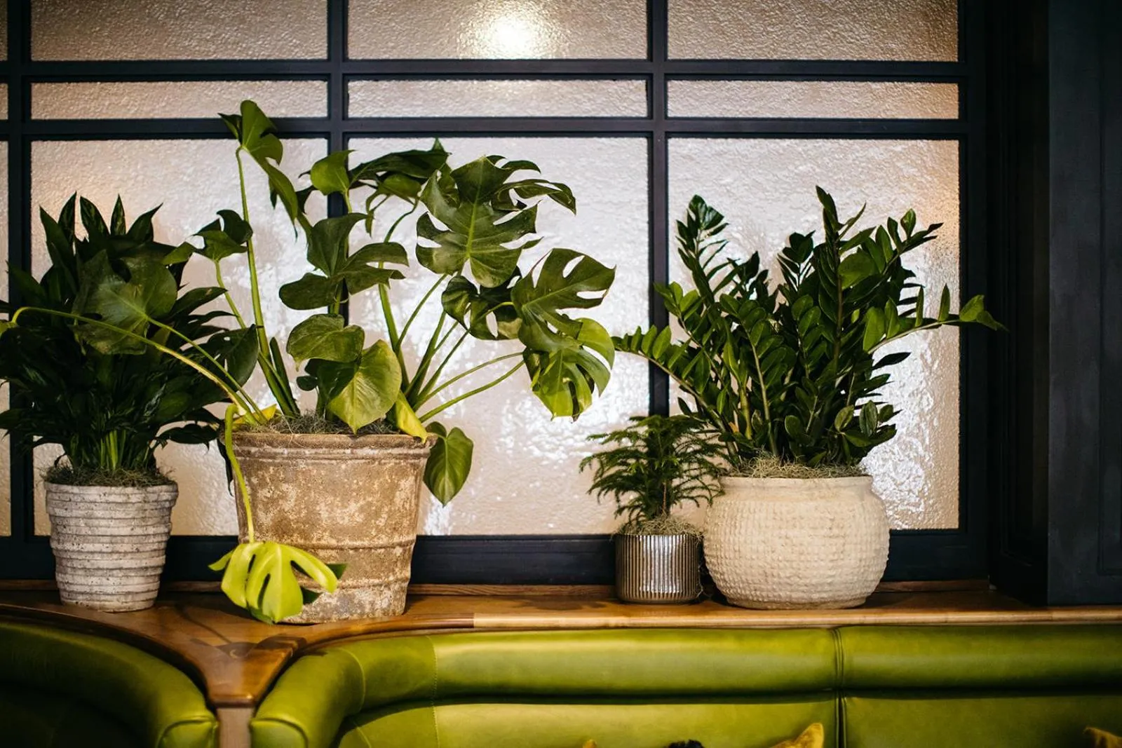 Lounge or bar in Emeline