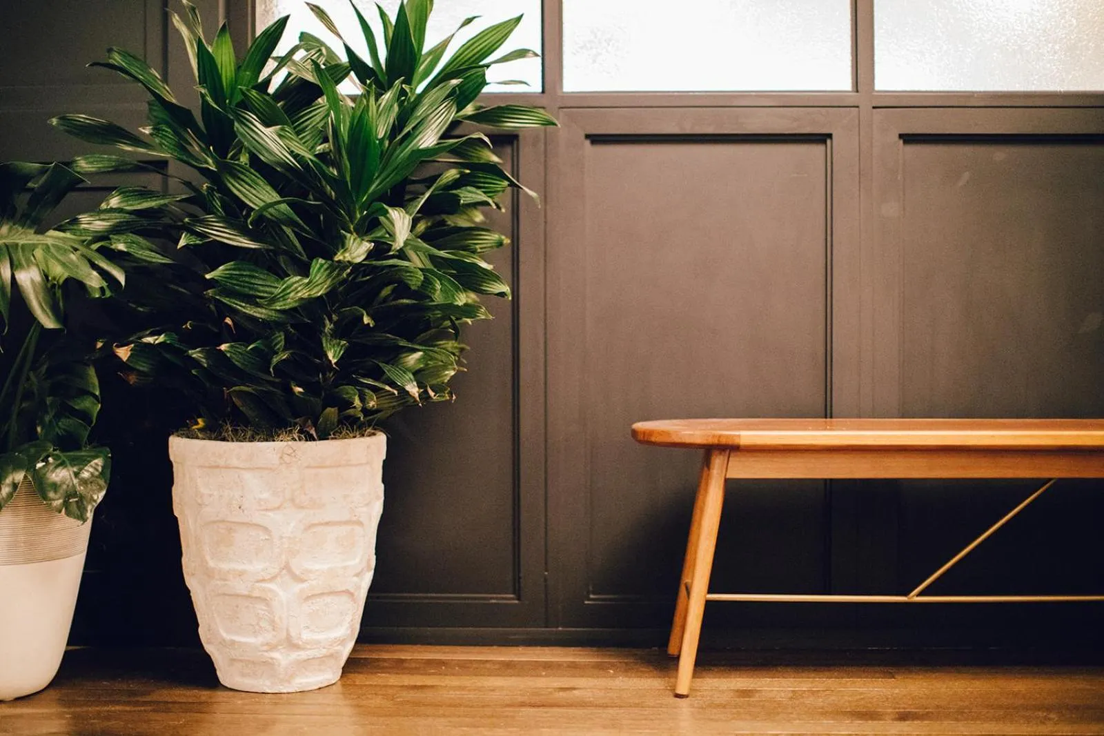 Lounge or bar in Emeline