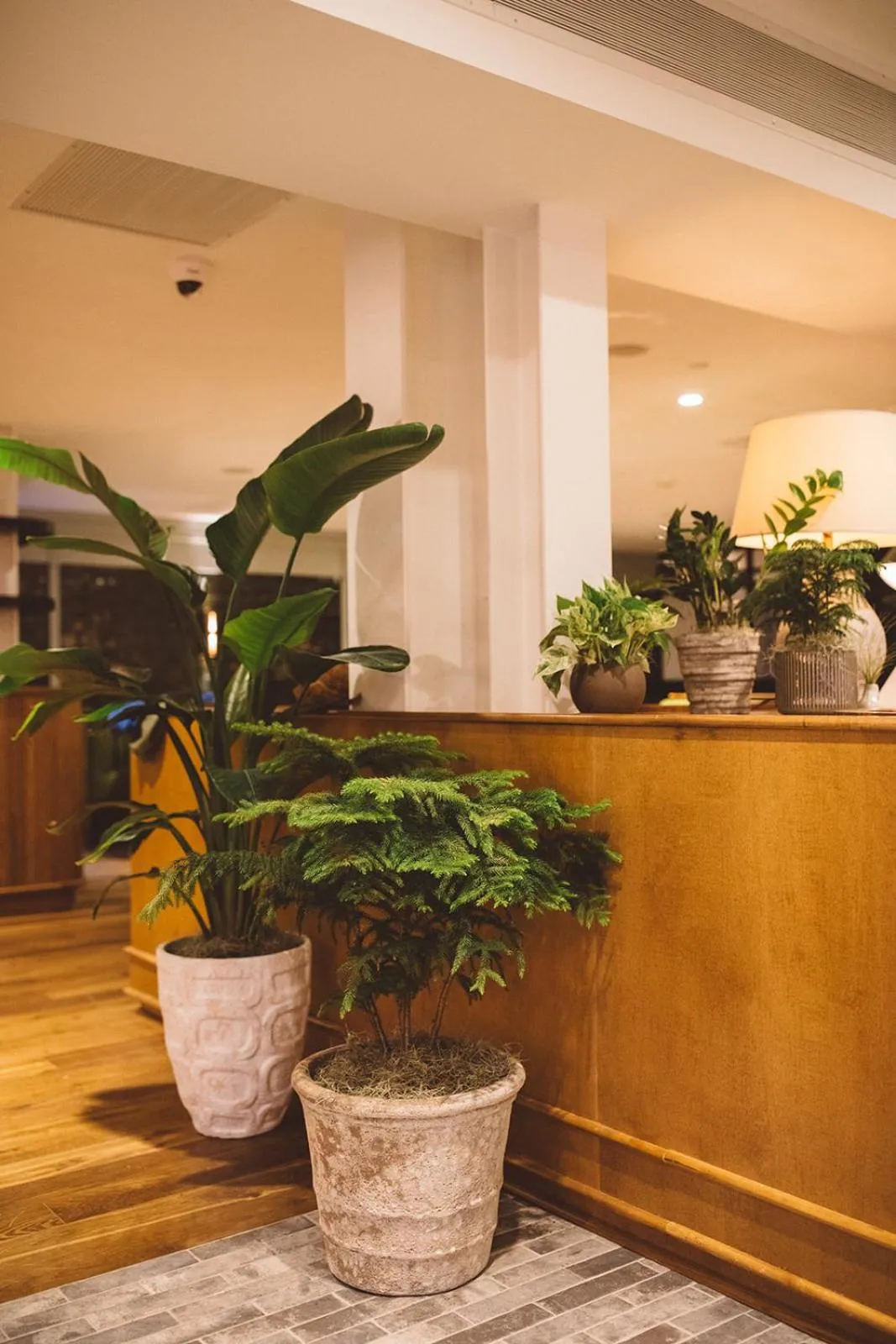 Restaurant/places to eat in Emeline