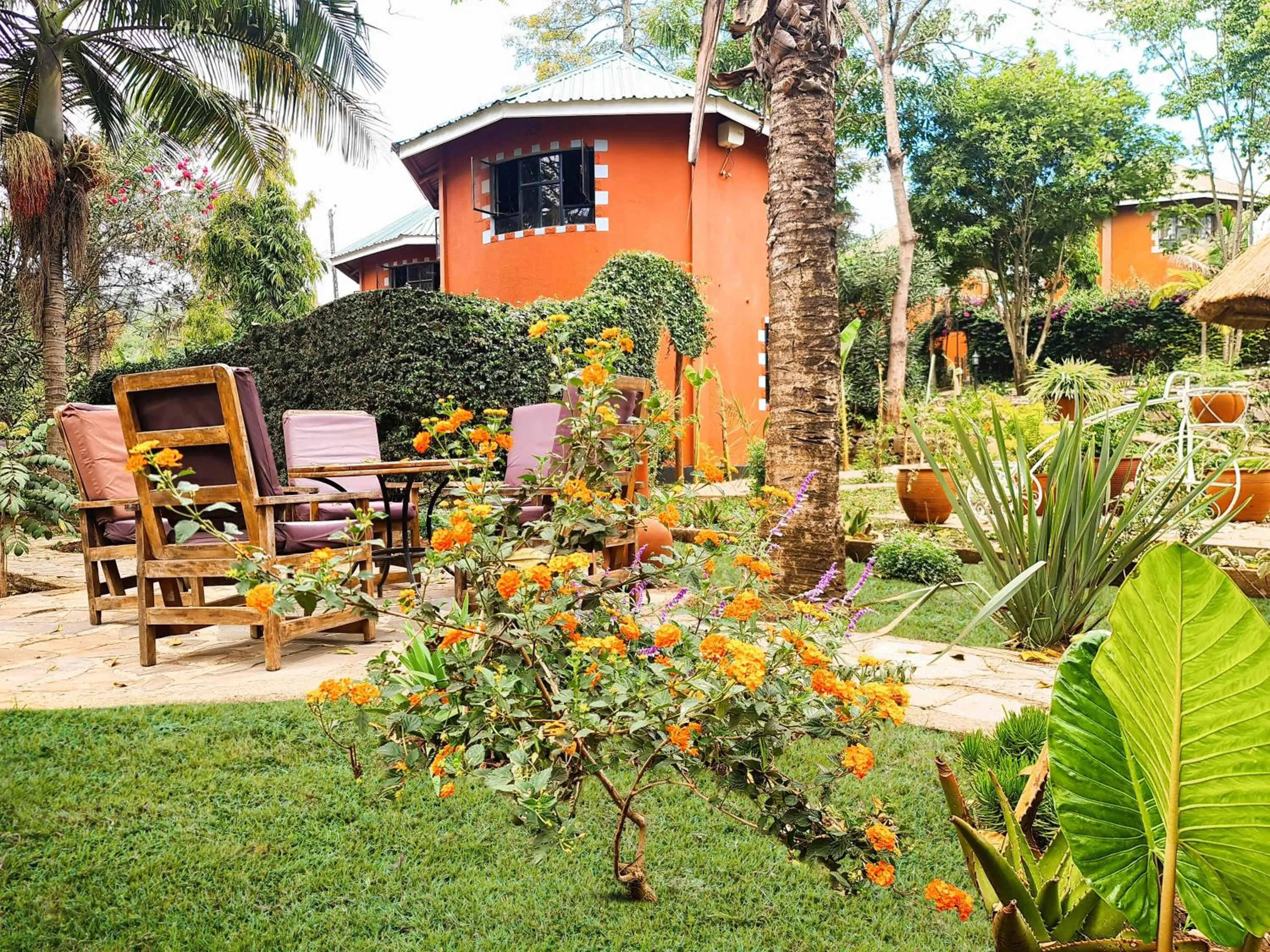 Property building in Africa Safari Arusha