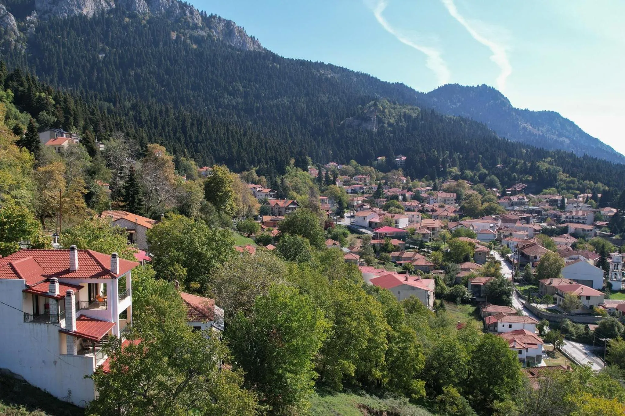 Elati Suites & Apartments-Mihail