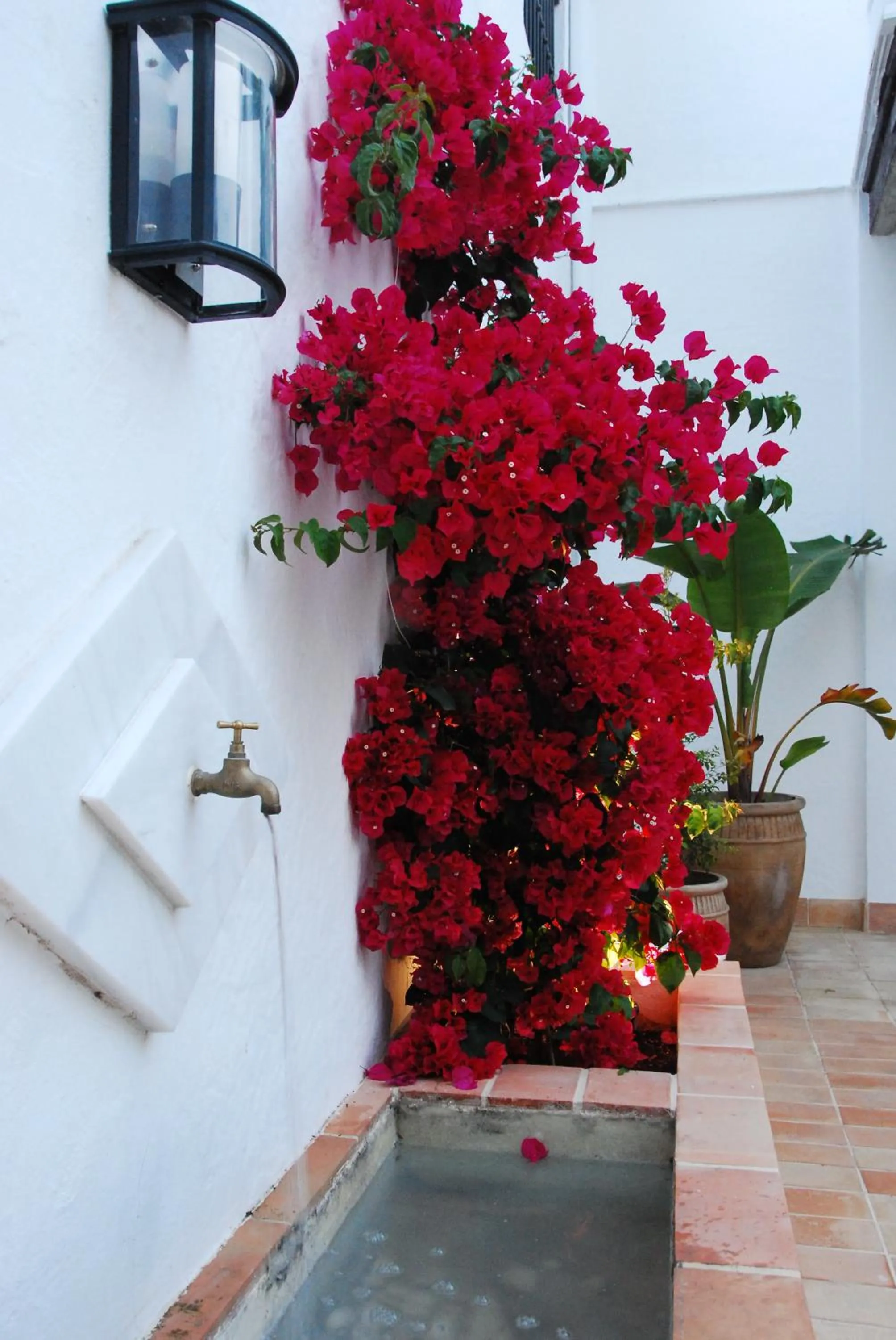 Patio in Albariza Hotel Boutique