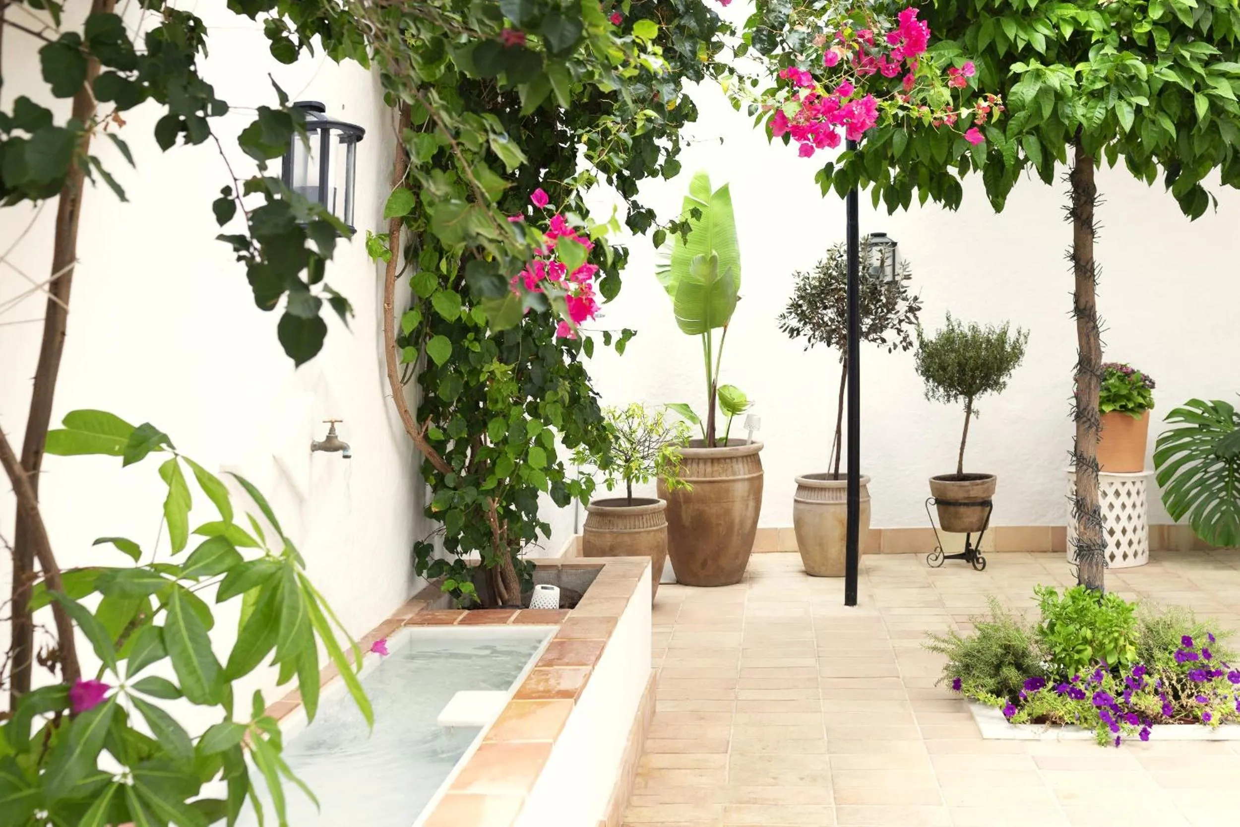 Patio in Albariza Hotel Boutique