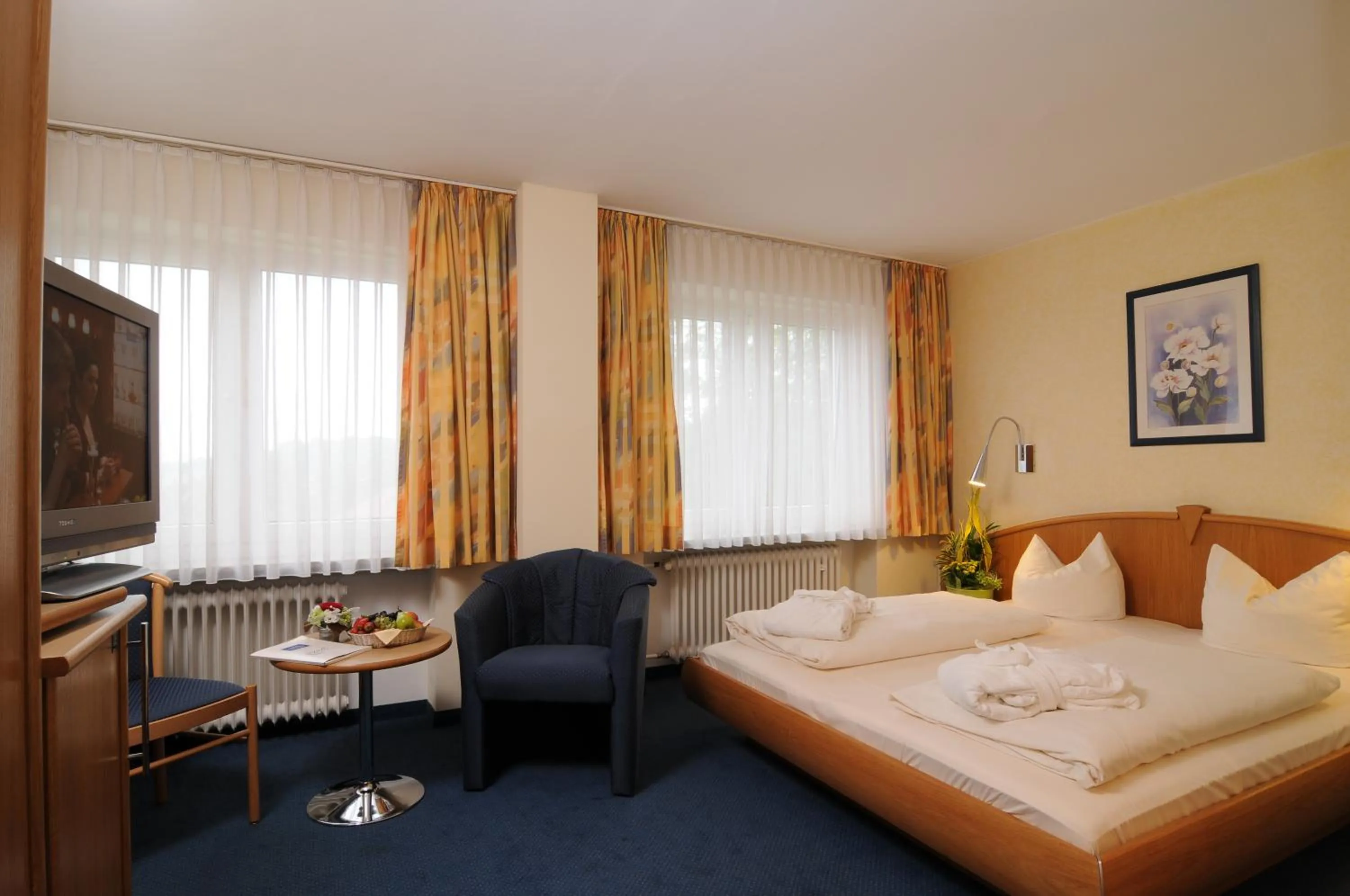 Photo of the whole room in Hotel Apollo Garni