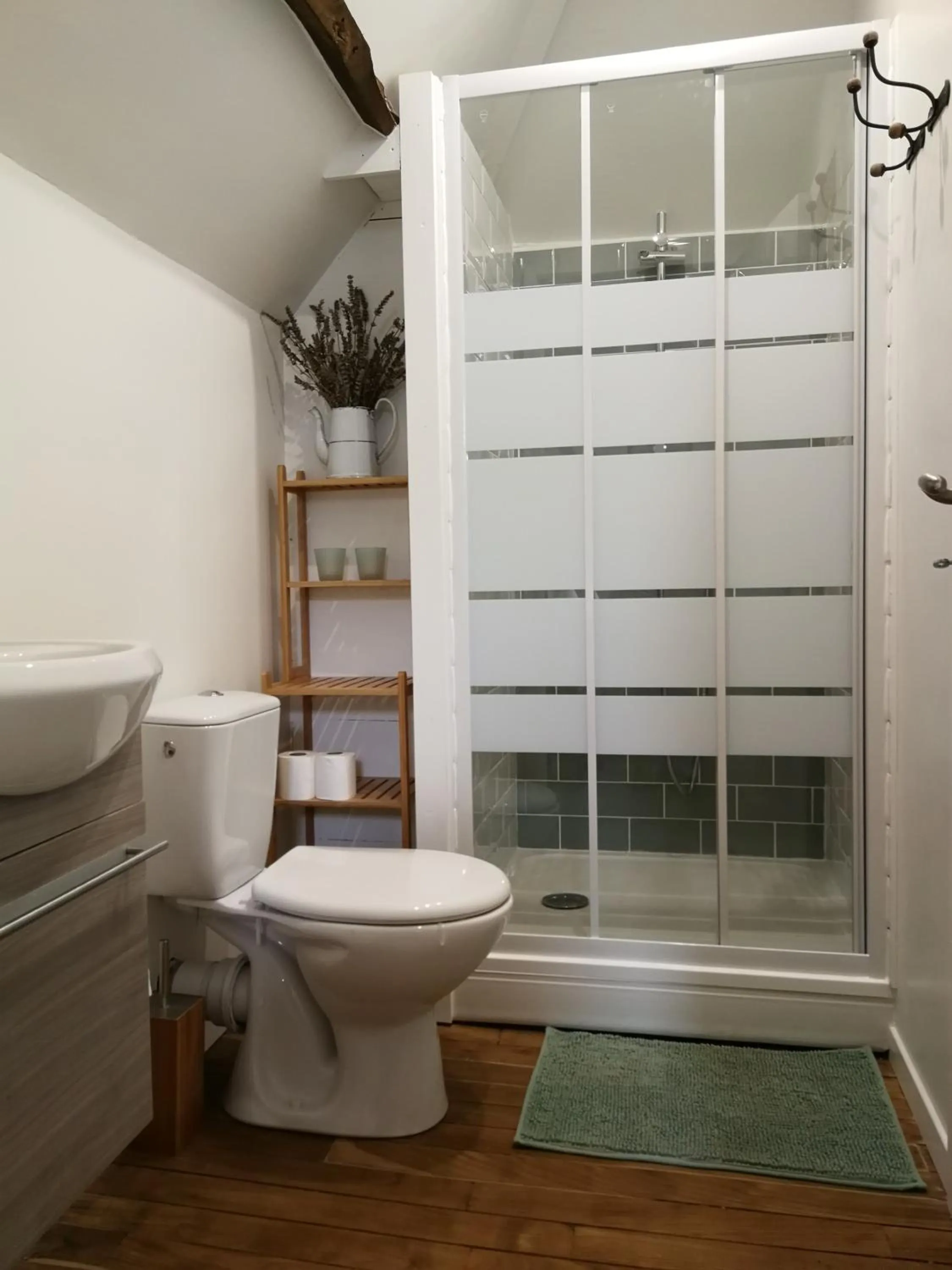 Shower in Central Brittany B and B