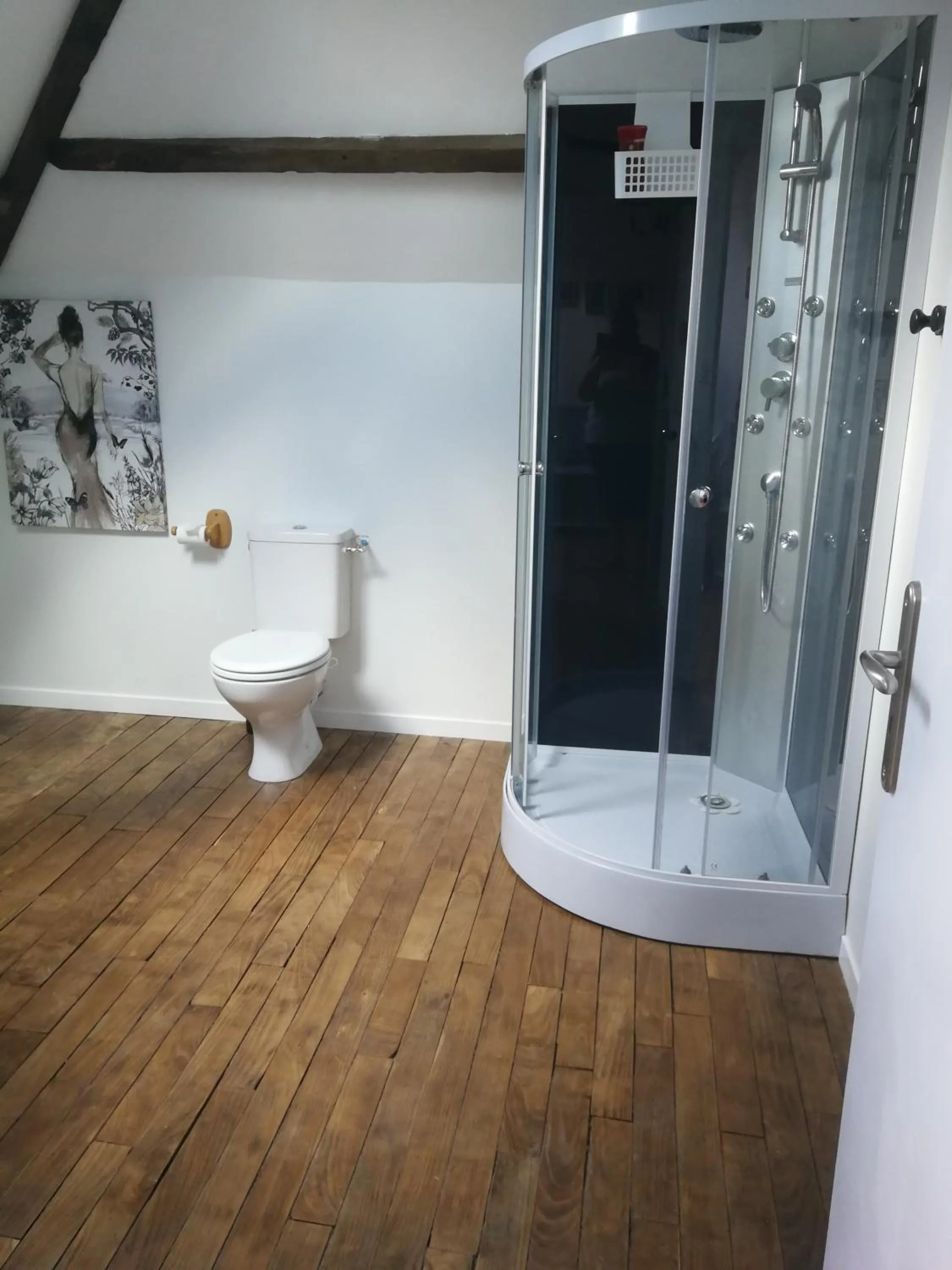 Shower in Central Brittany B and B