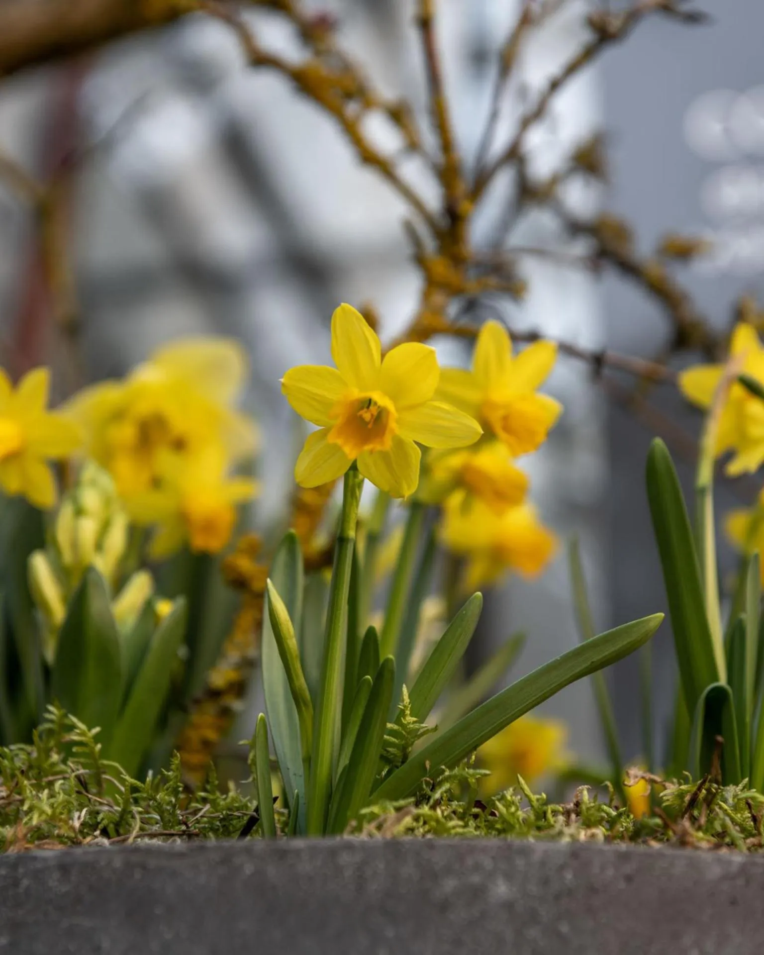 Property building in La Verriere du Baron Greau