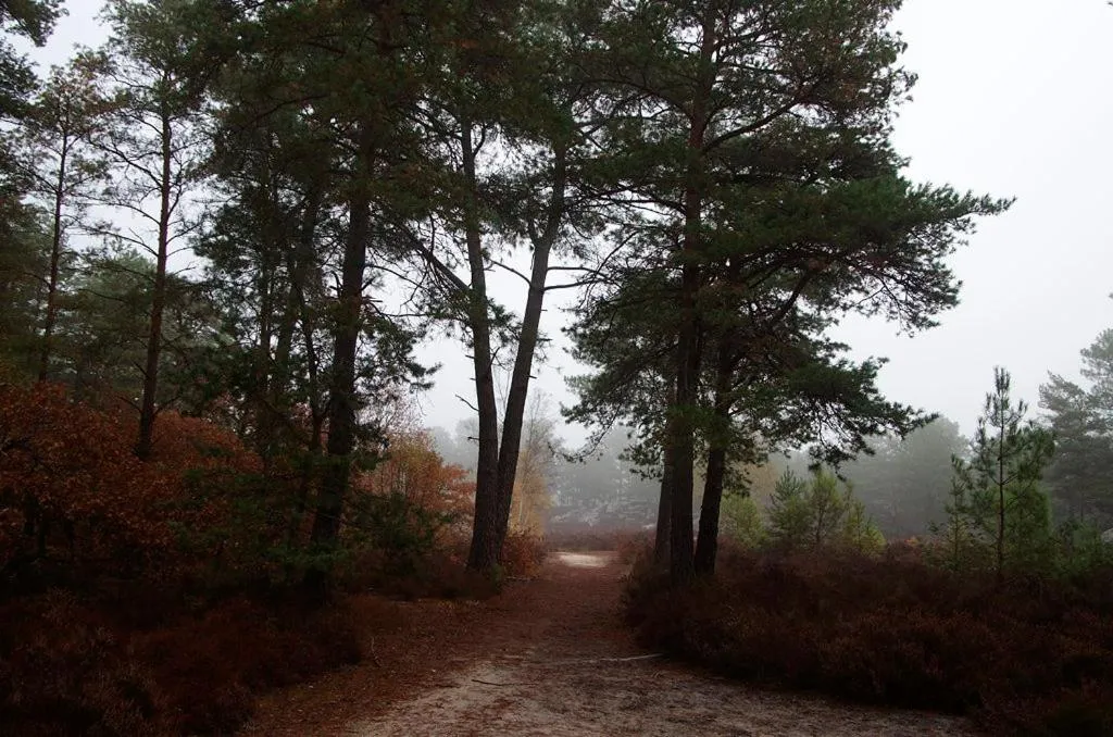 Neighbourhood in La Verriere du Baron Greau