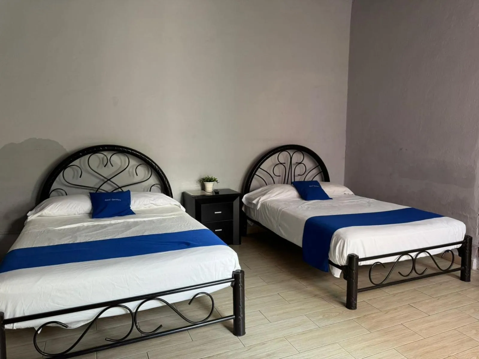 Bathroom, Bed in Hotel Queretaro