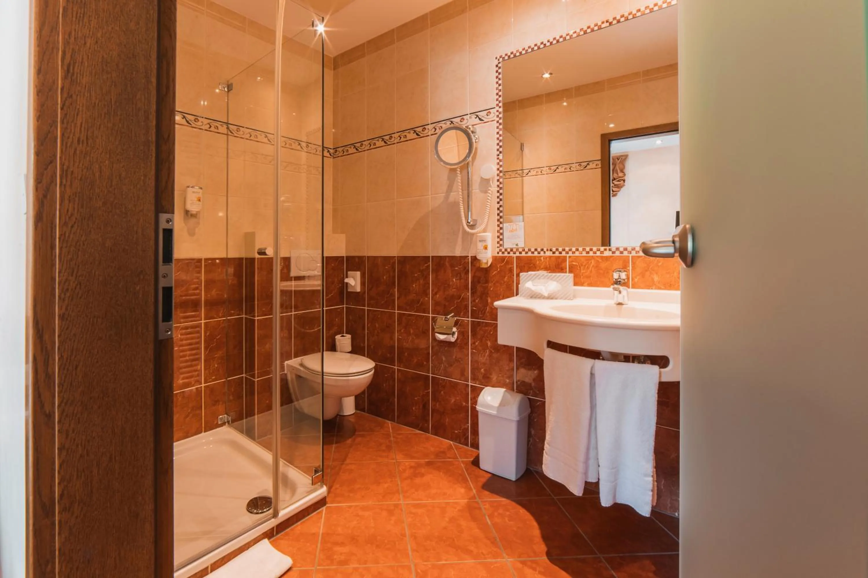 Shower in AKZENT Hotel Berg's Alte Bauernschänke- Wellness und Wein
