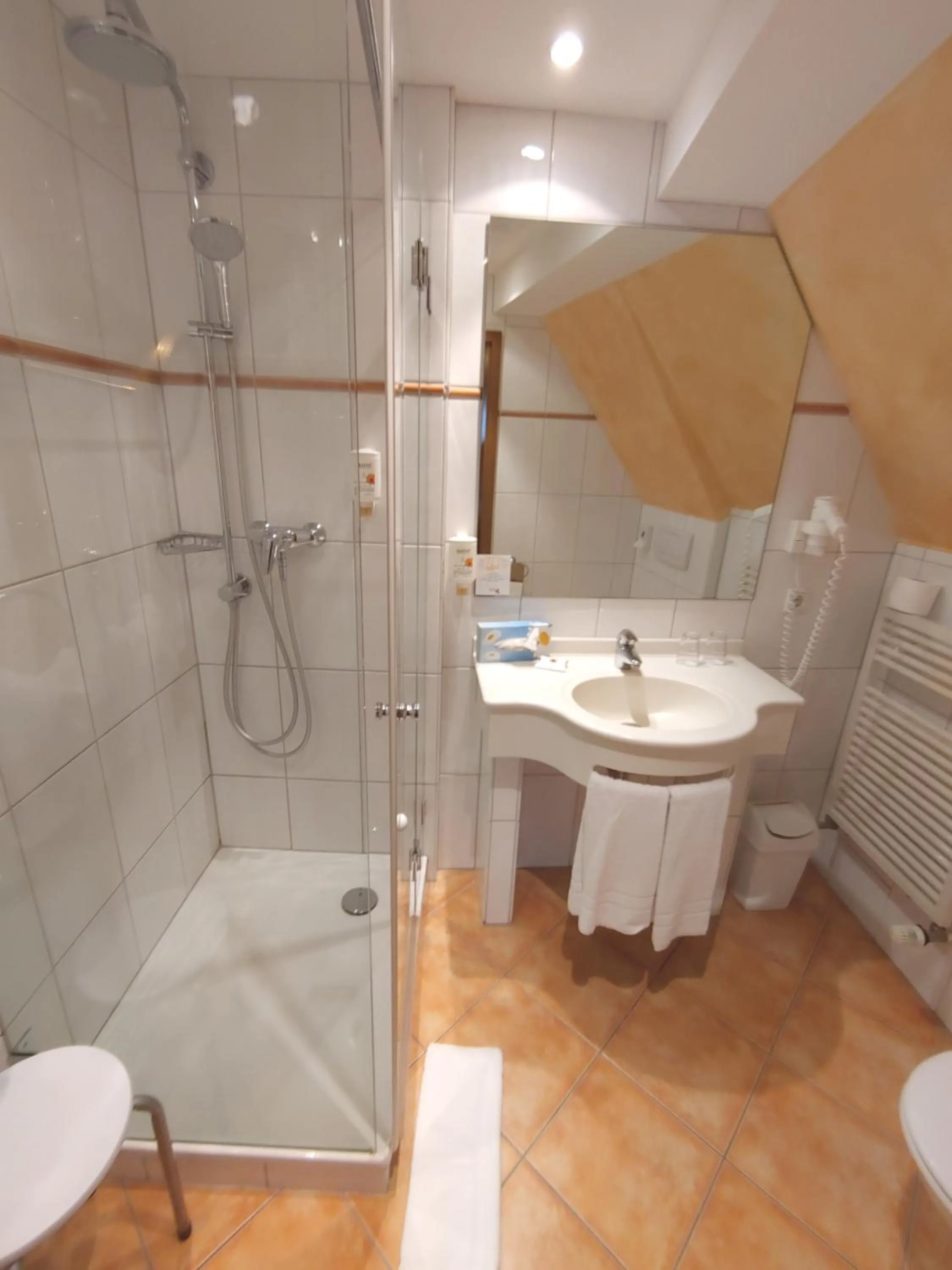 Bathroom in AKZENT Hotel Berg's Alte Bauernschänke- Wellness und Wein