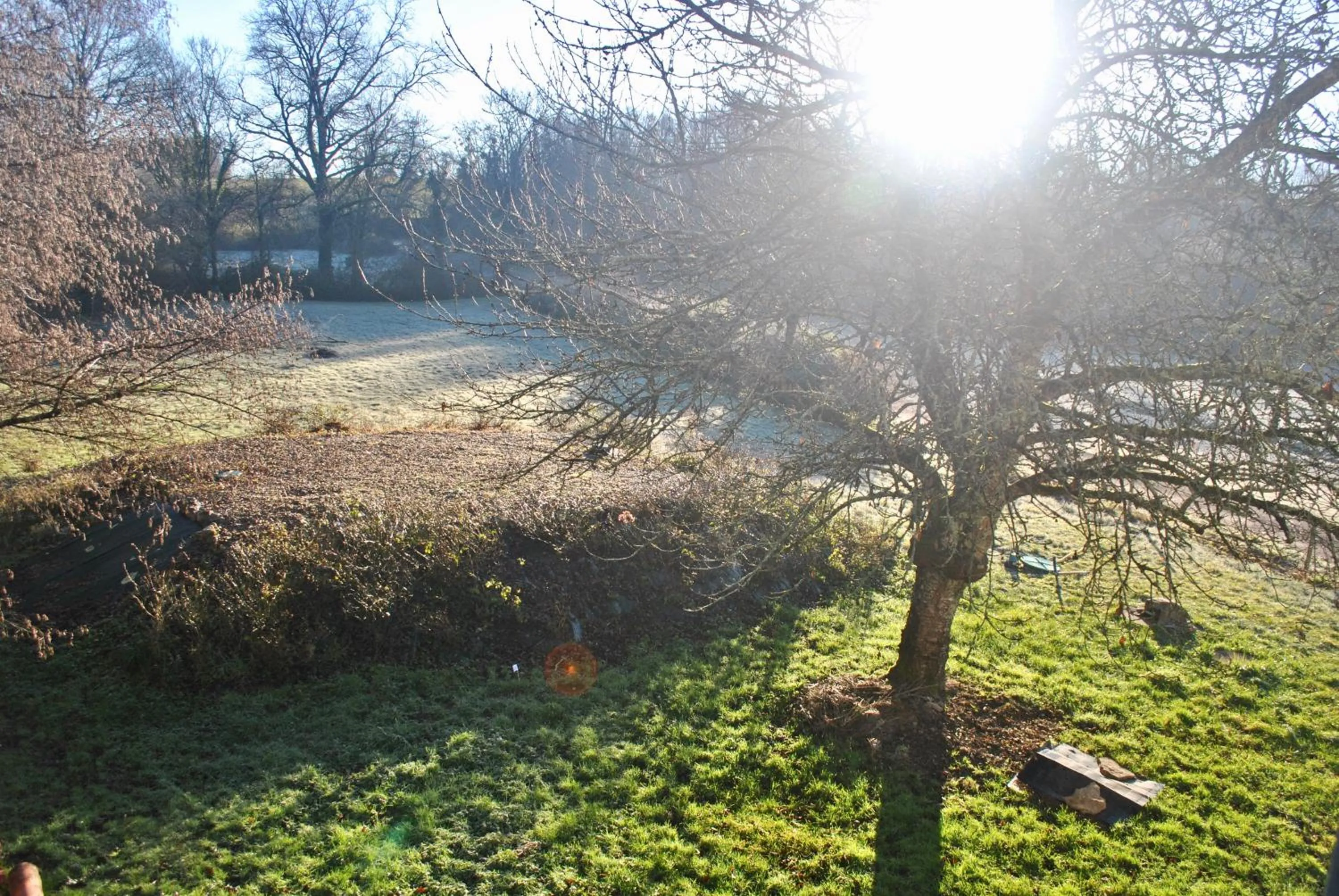 Garden in Moulin sous la Vergne