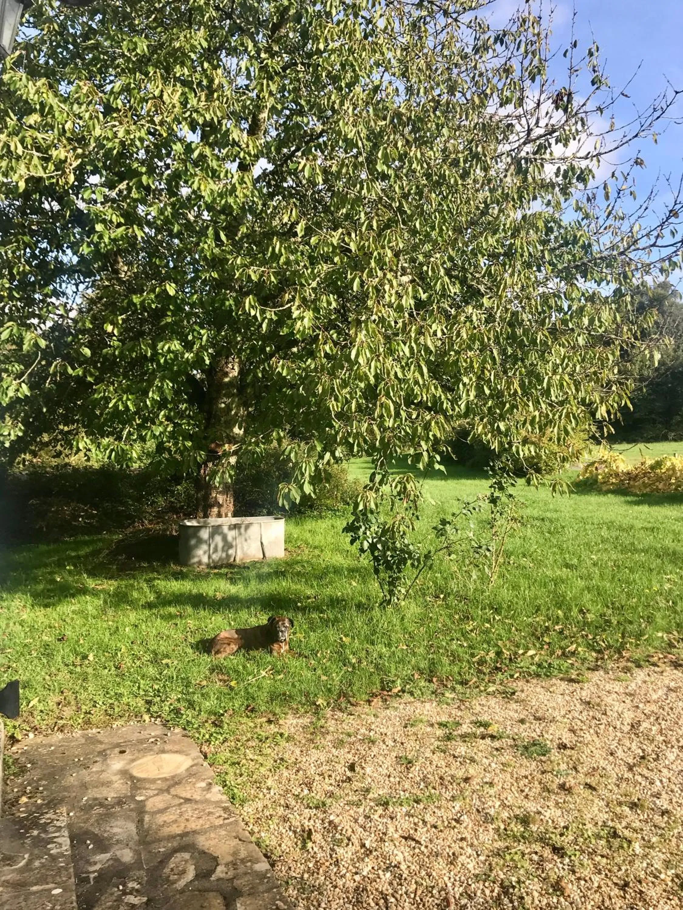 Garden in Moulin sous la Vergne