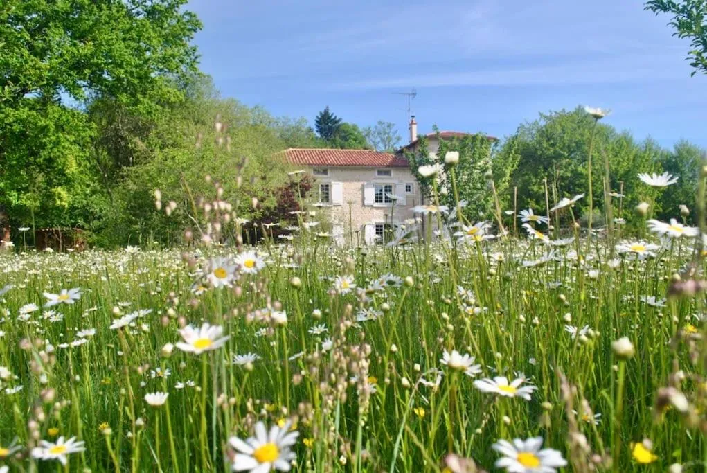 Spring in Moulin sous la Vergne