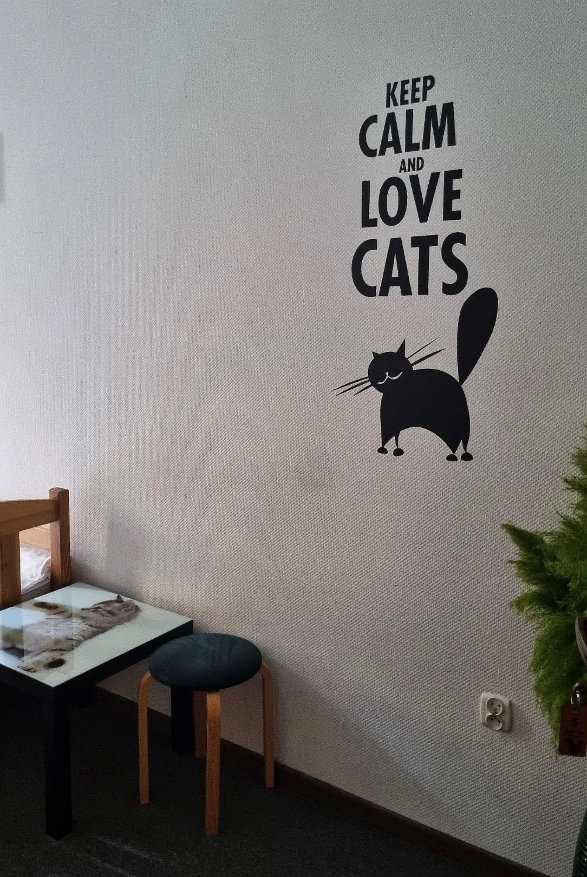 Balcony/Terrace in Green Cat Rooms