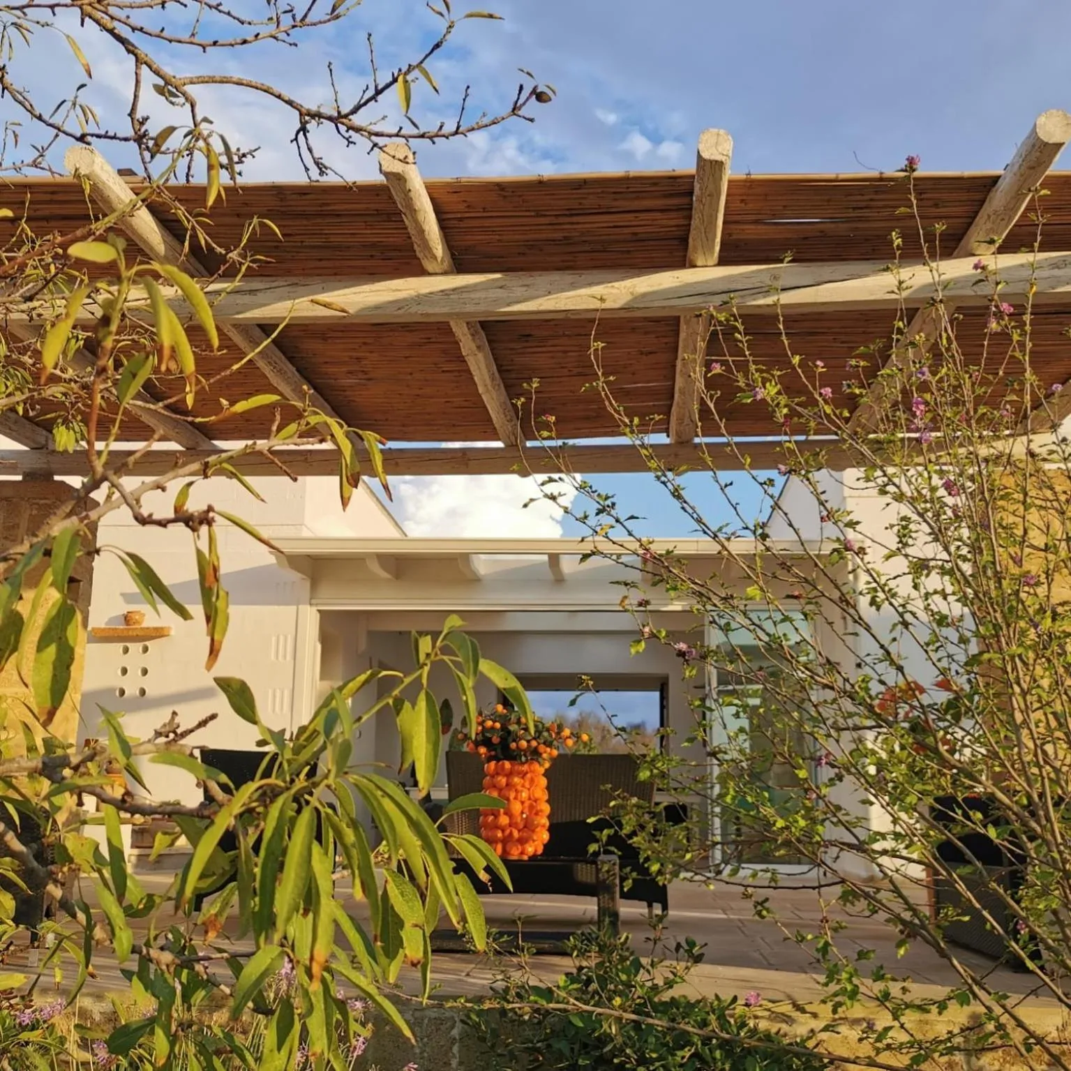 Property building in Tenuta La Milogna