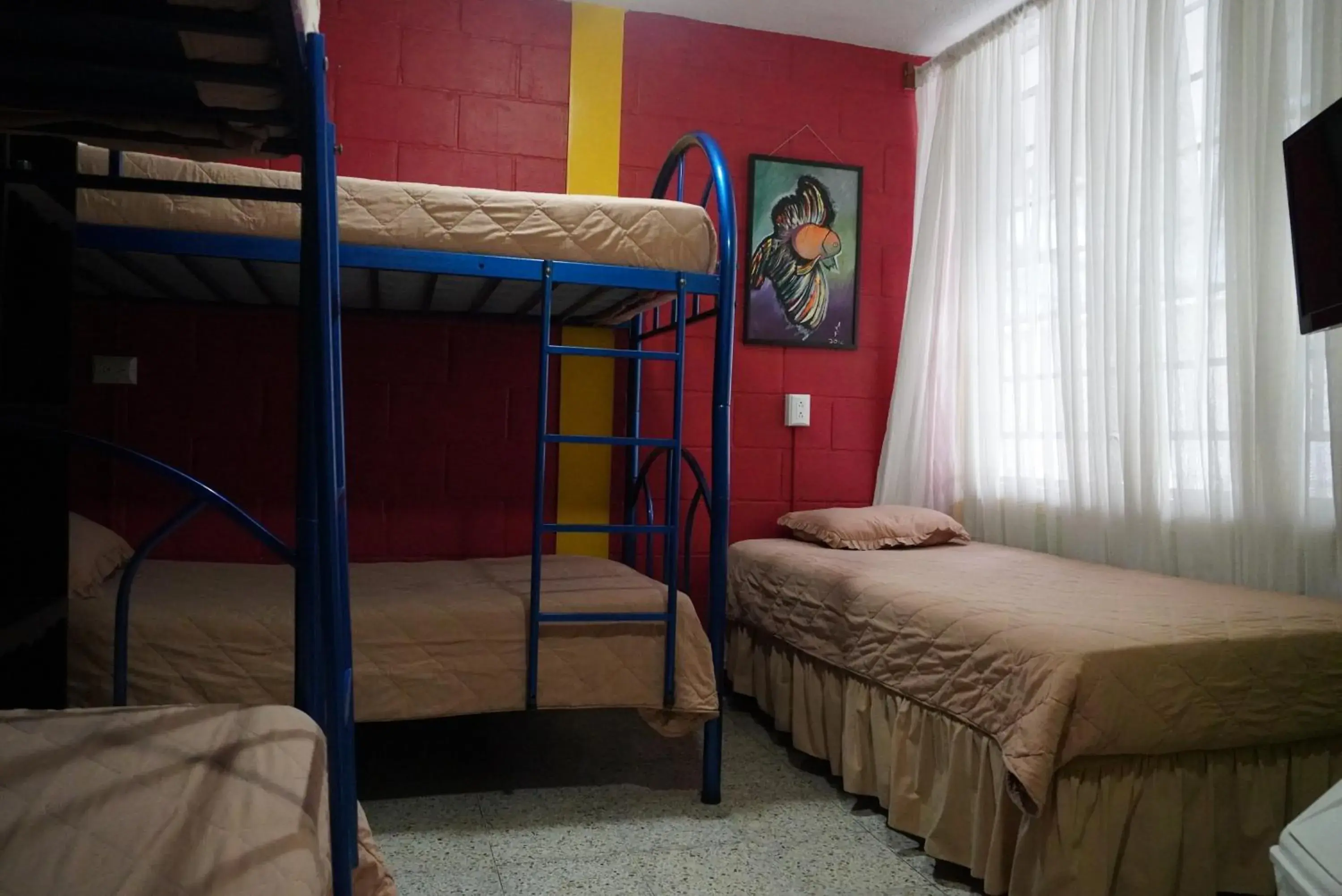 Single Bed in Mixed Dormitory Room in Hostal Guatefriends Single Bed in Mixed Dormitory Room in Hostal Guatefriends