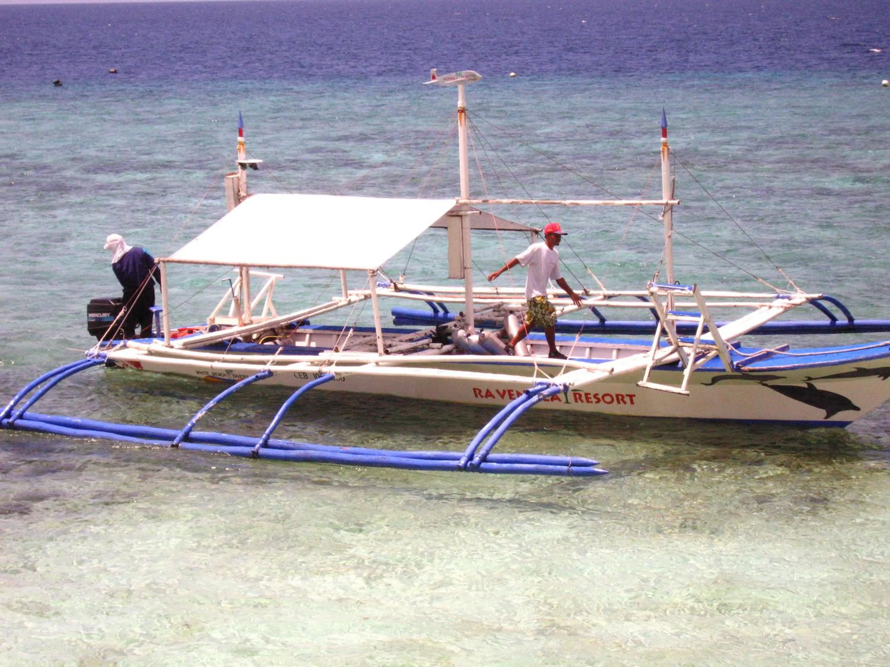 Diving in Sea Turtle House Moalboal