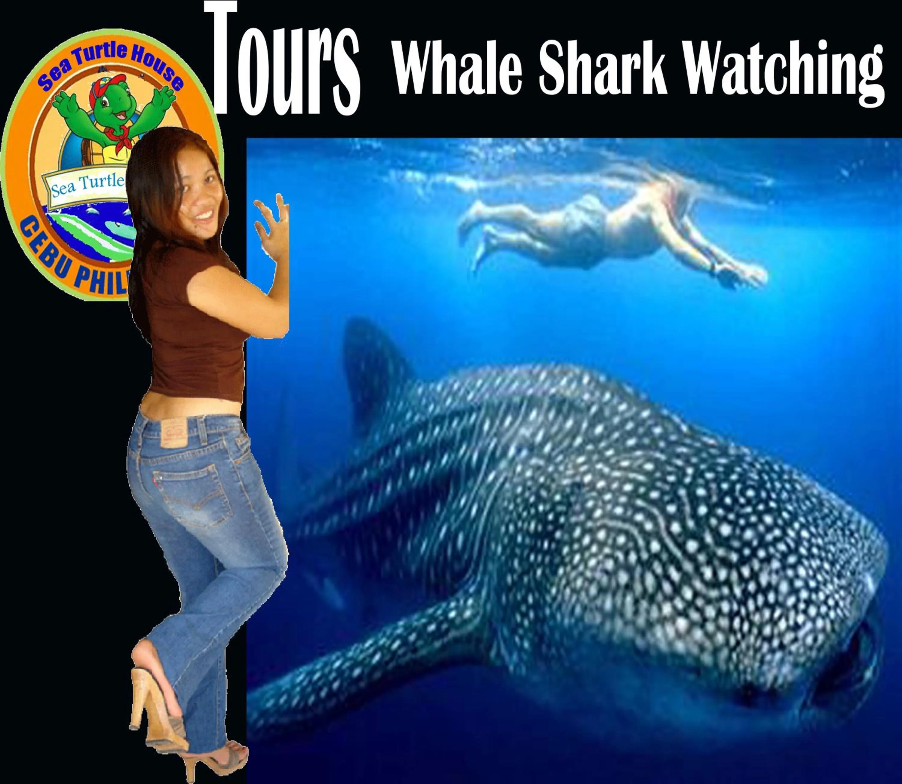 Snorkeling in Sea Turtle House Moalboal