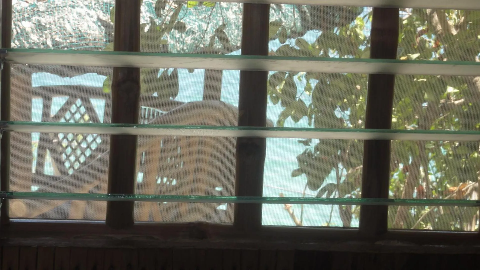 Sea view in Sea Turtle House Moalboal