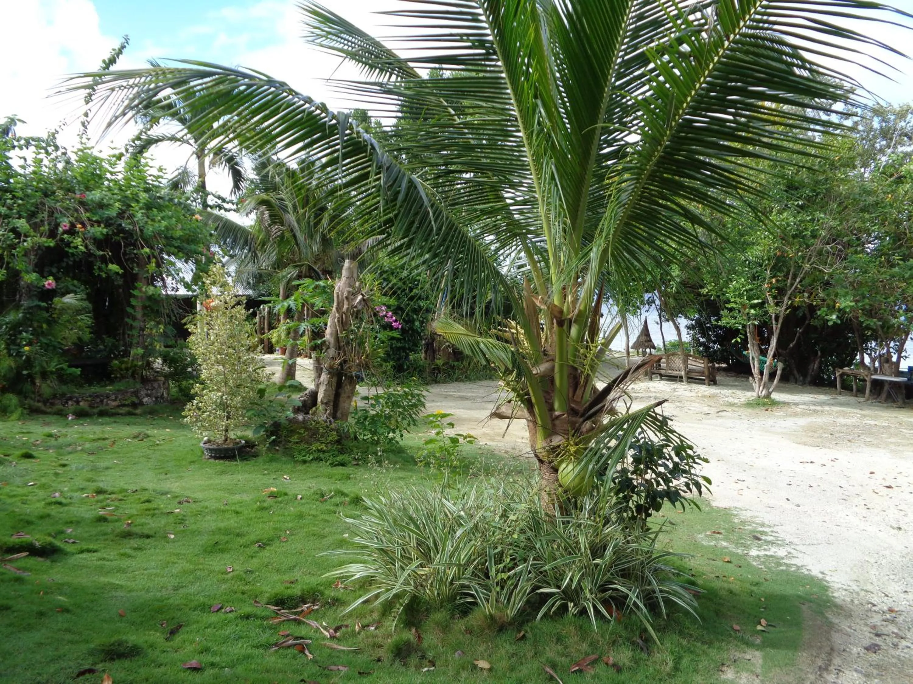 Sea view in Sea Turtle House Moalboal