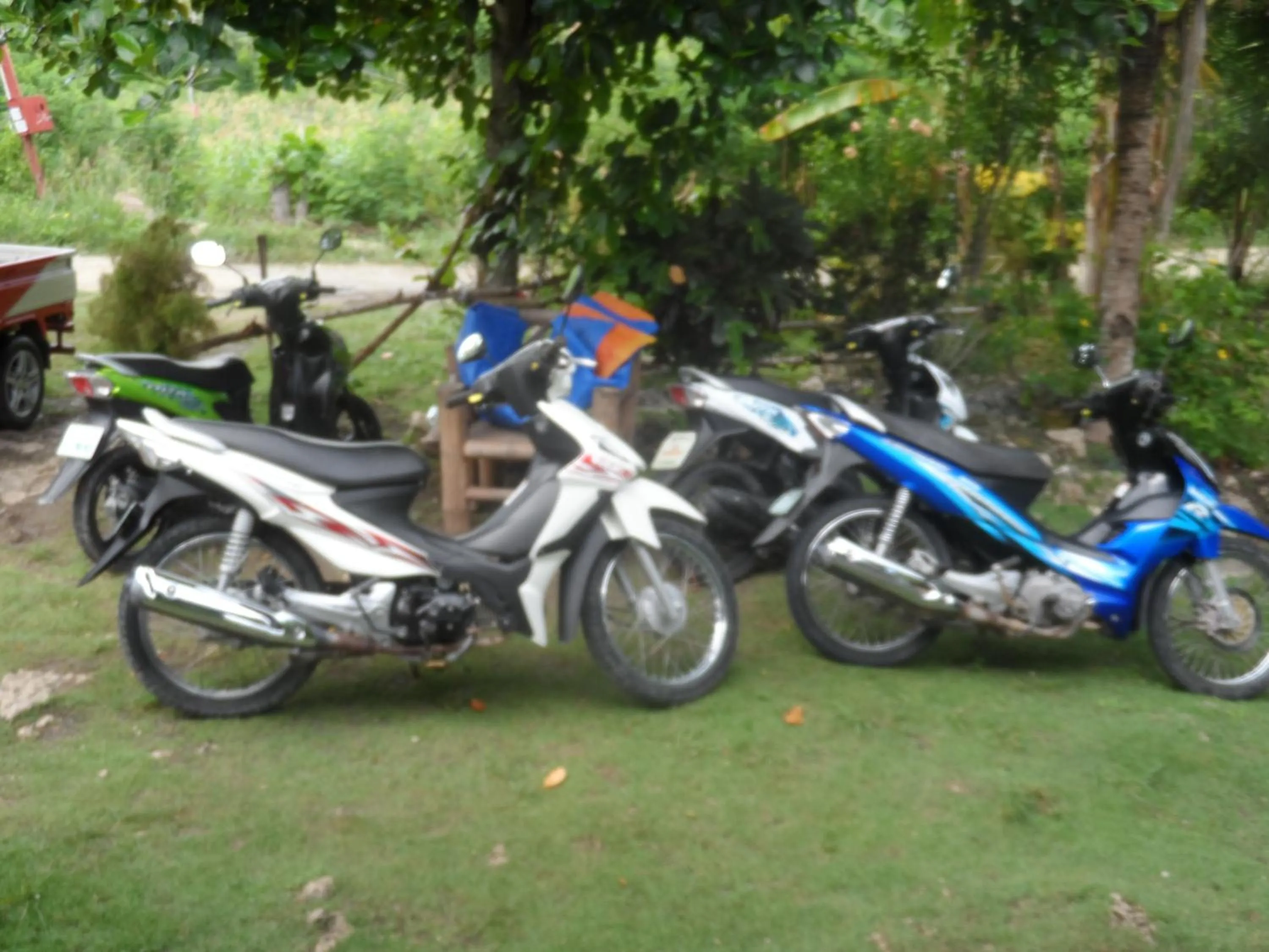 Area and facilities in Sea Turtle House Moalboal