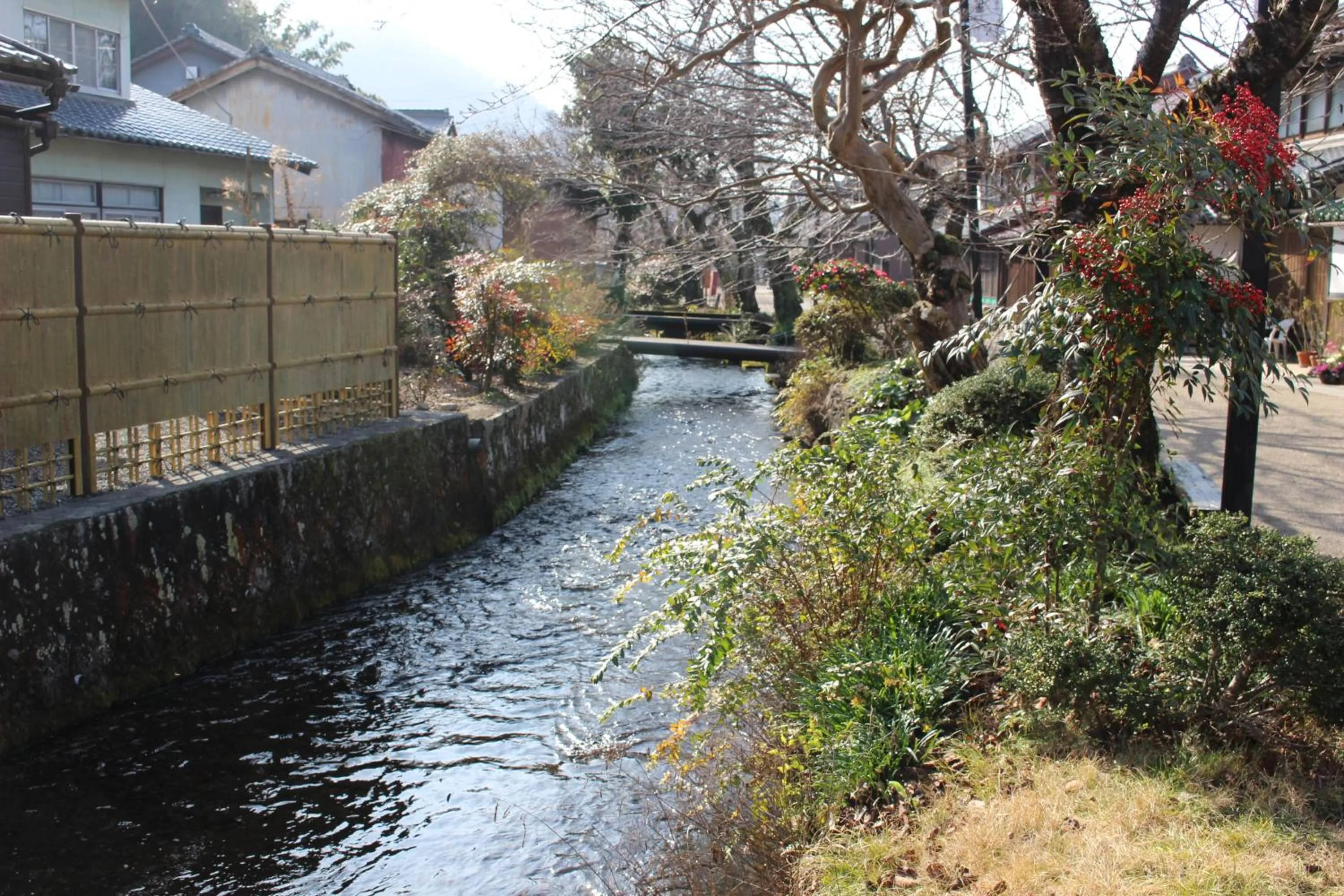 Natural landscape in Guesthouse Izame Ann