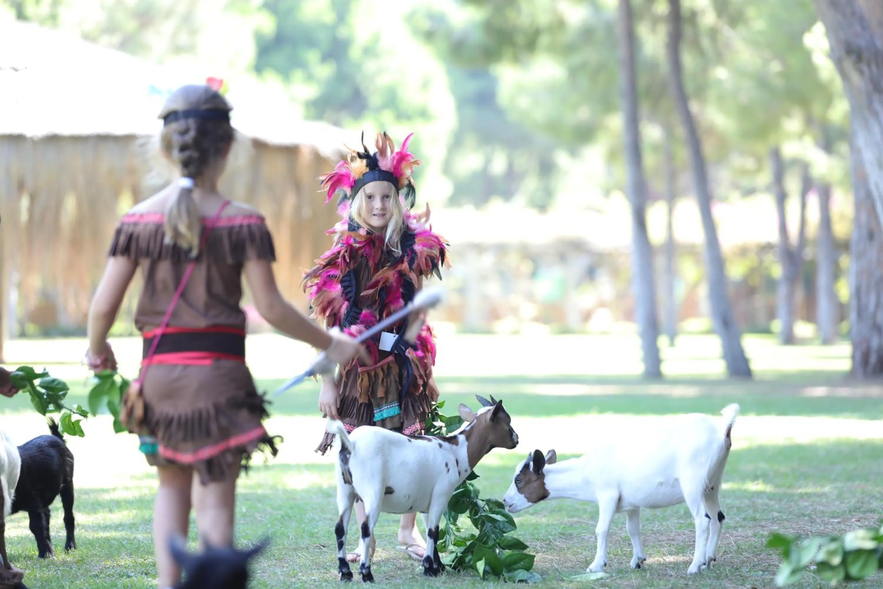 Activities in Regnum Carya