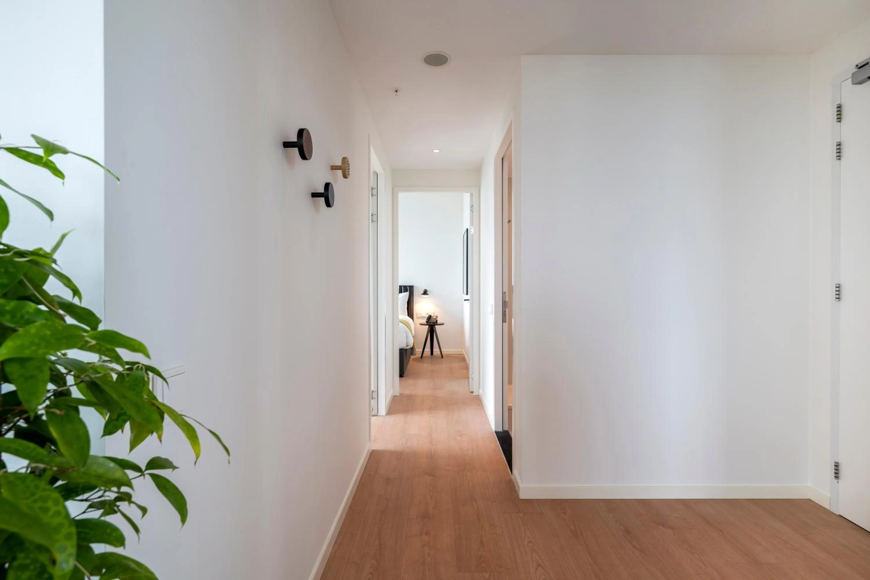 Photo of the whole room in PREMIER SUITES Amsterdam