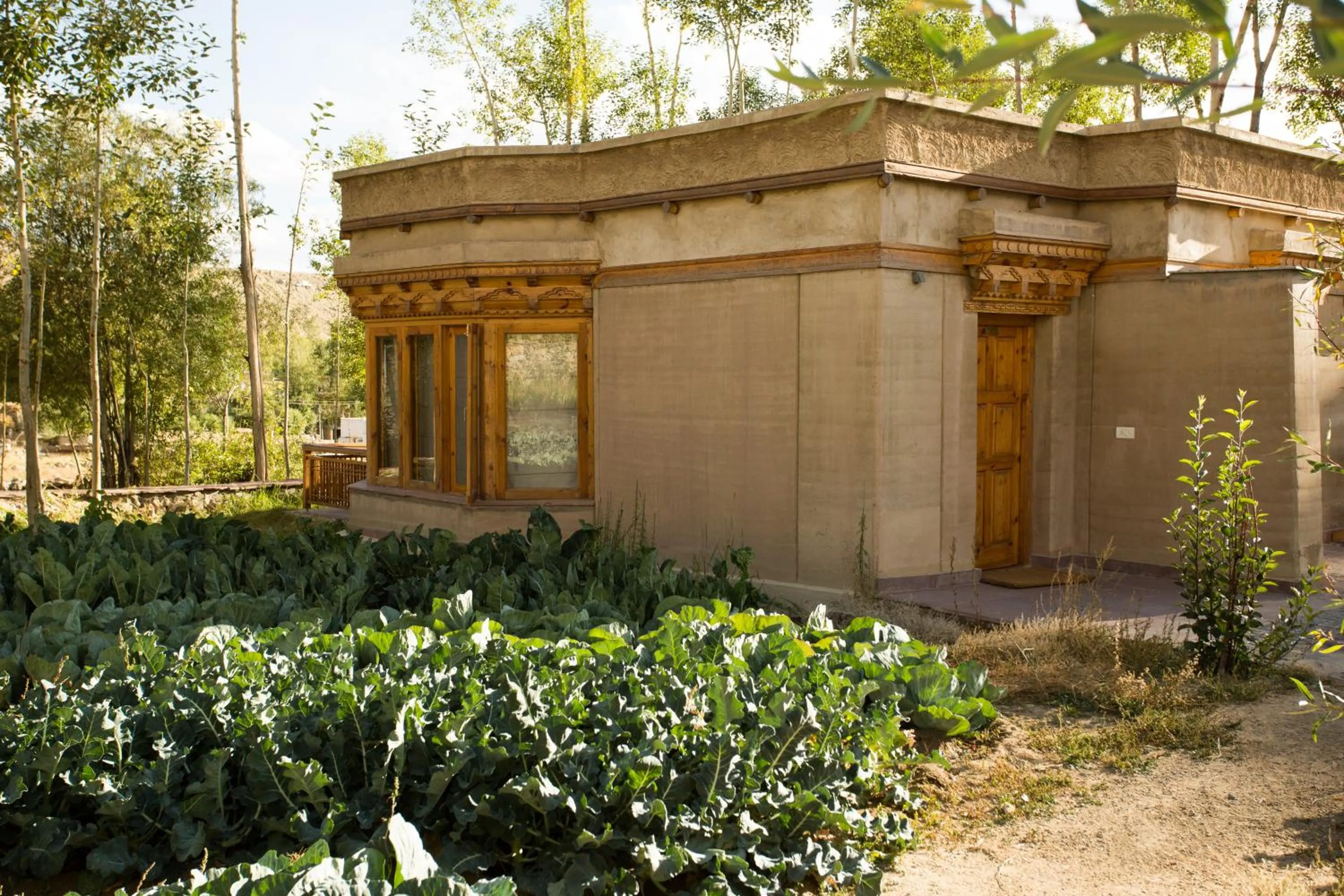 Garden in Ladakh Eco Resort