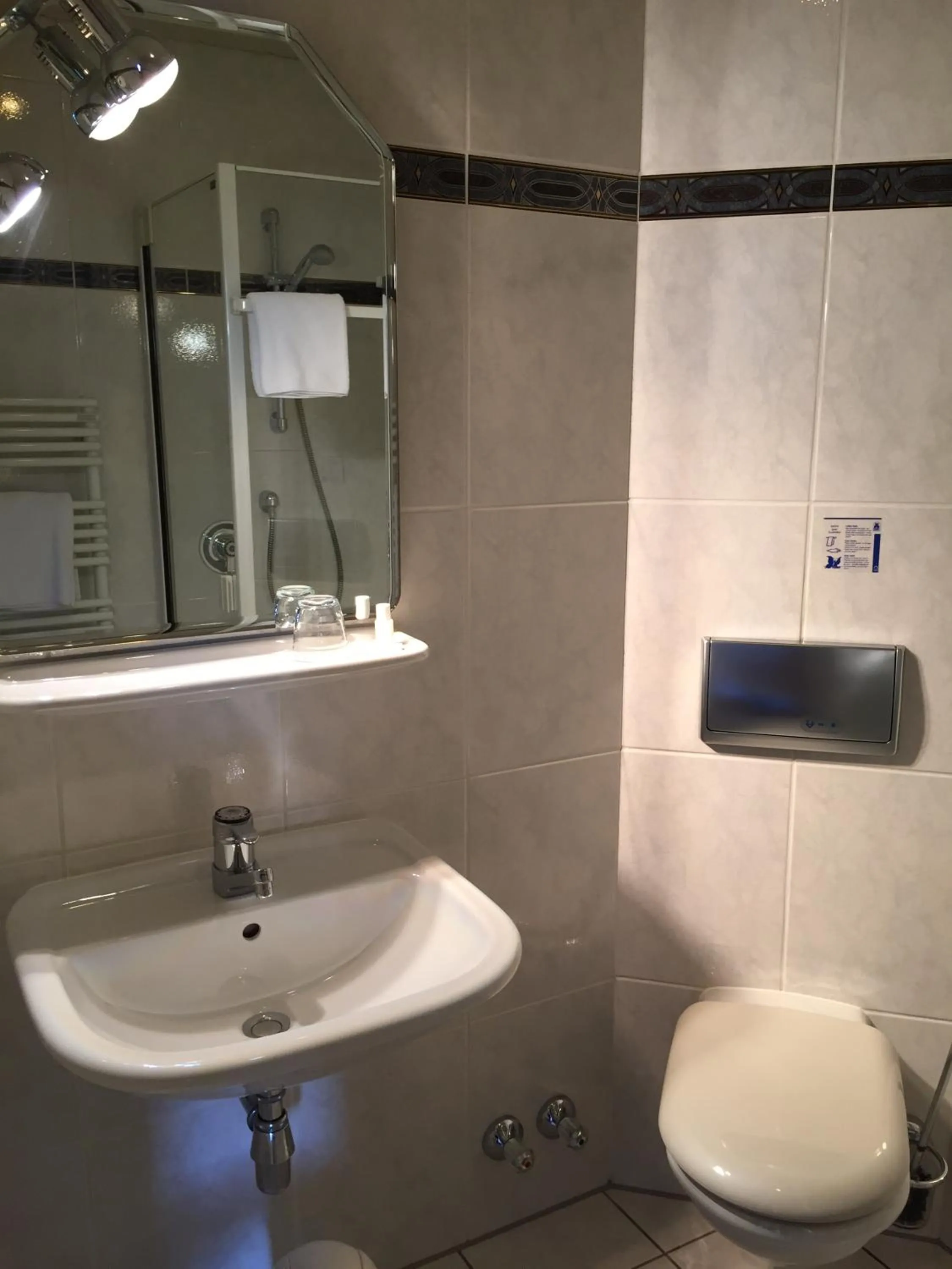 Toilet in Hotel Grader