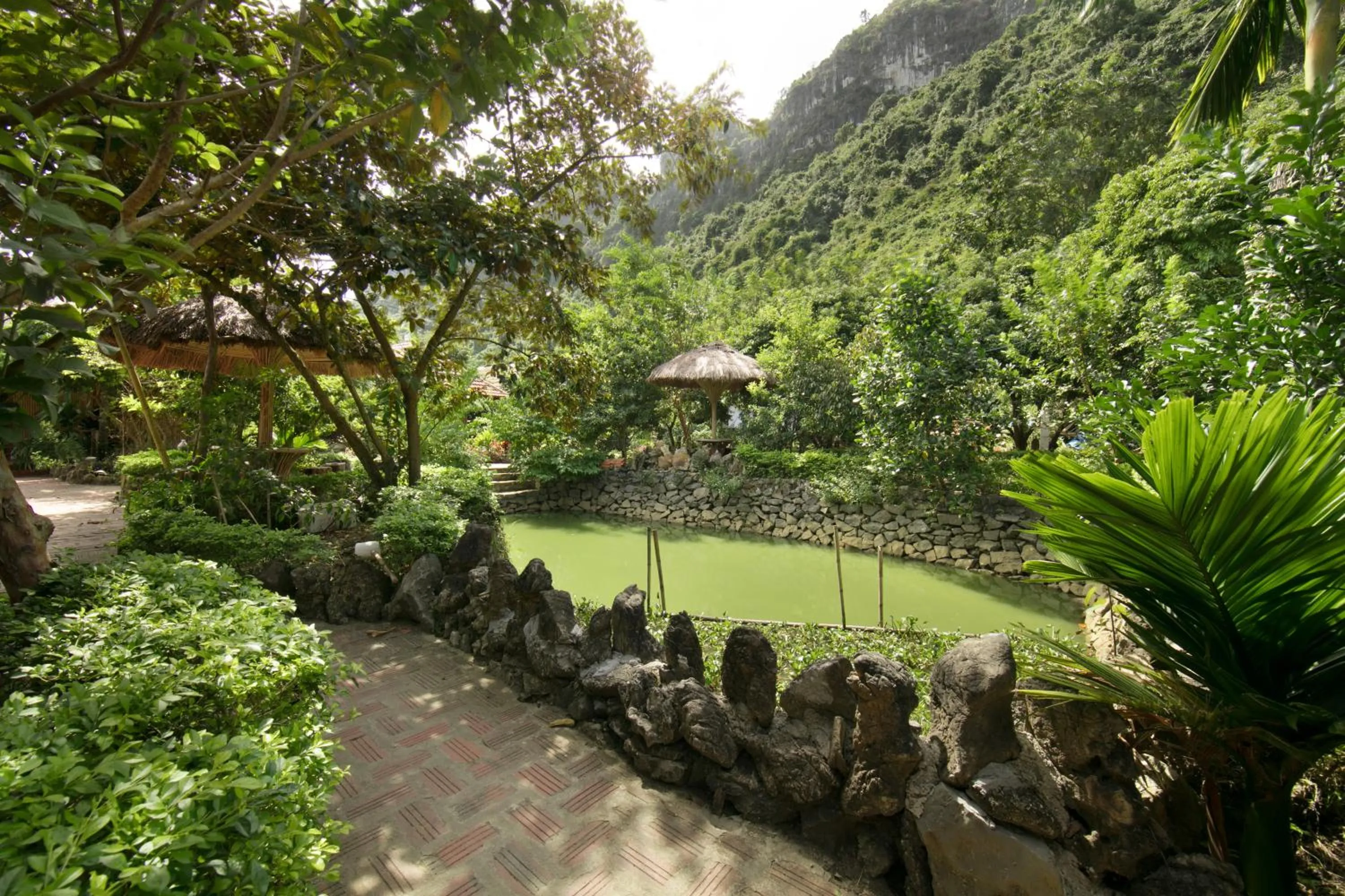 Natural landscape in Lan Homestay