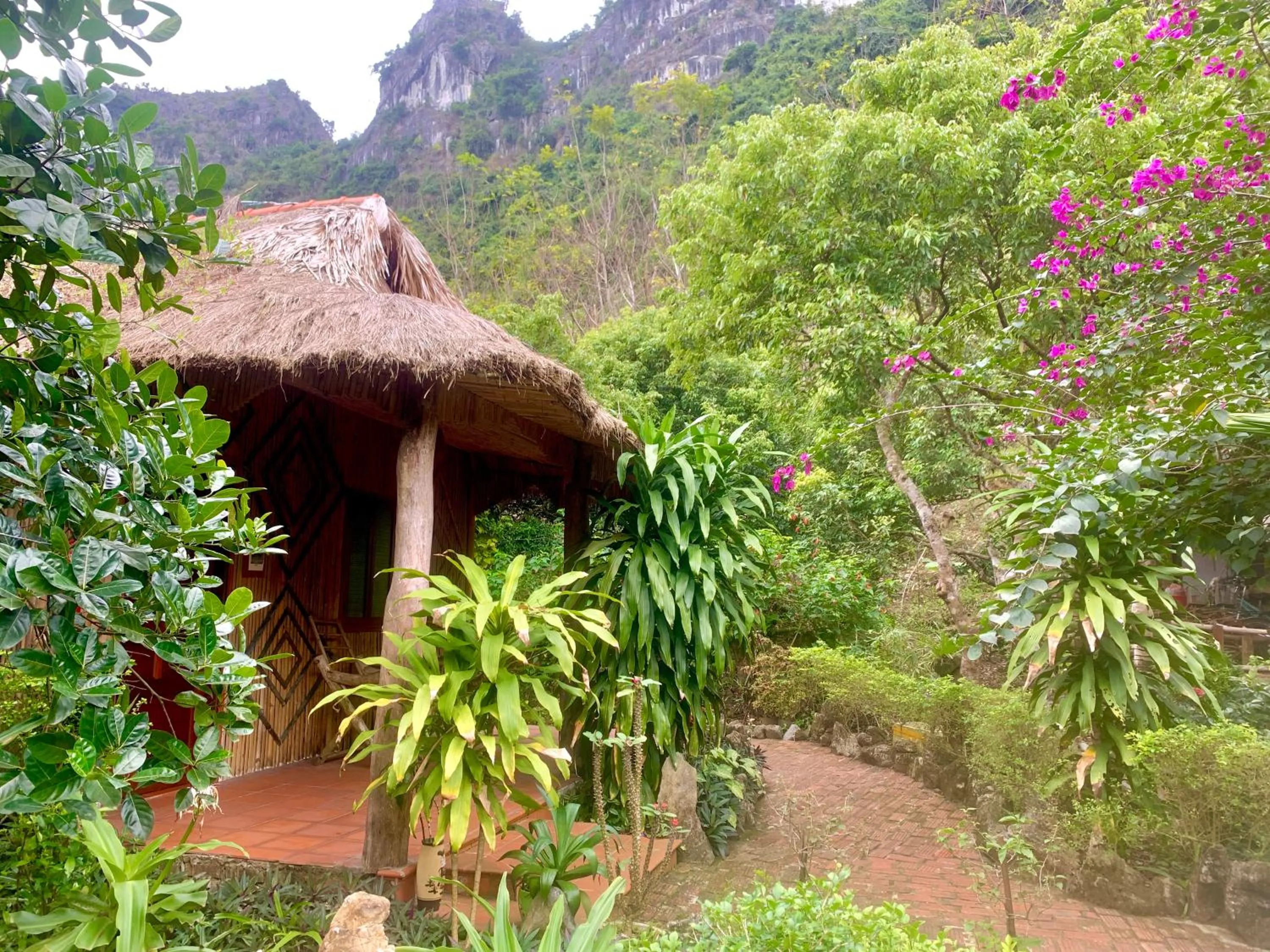 Property building in Lan Homestay