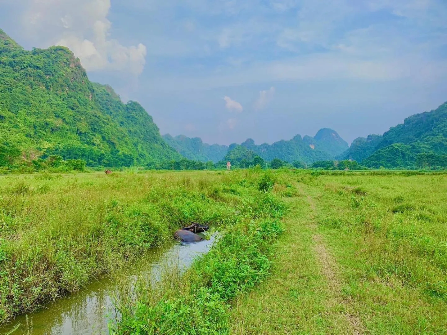 Balcony/Terrace in Lan Homestay
