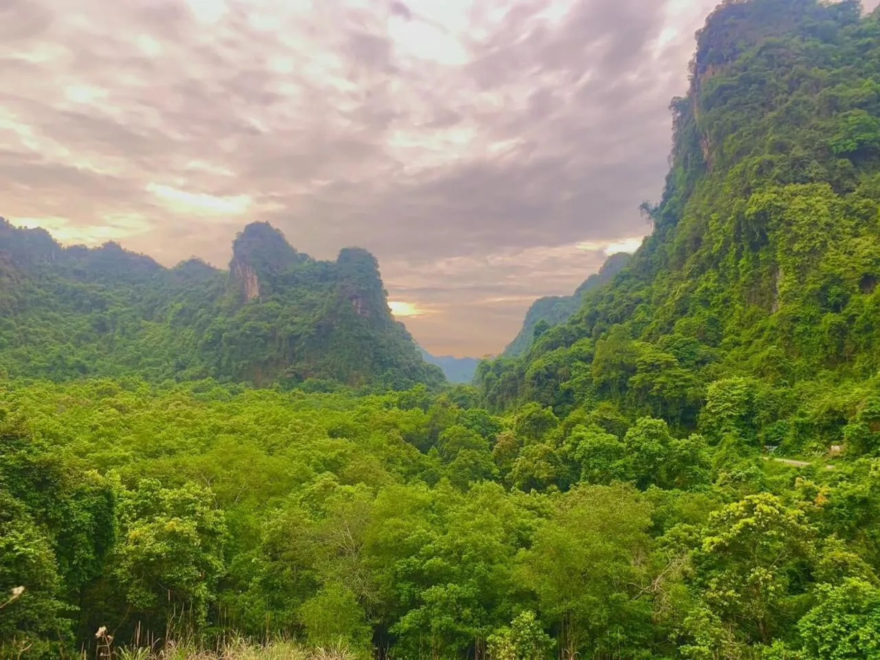 Neighbourhood in Lan Homestay