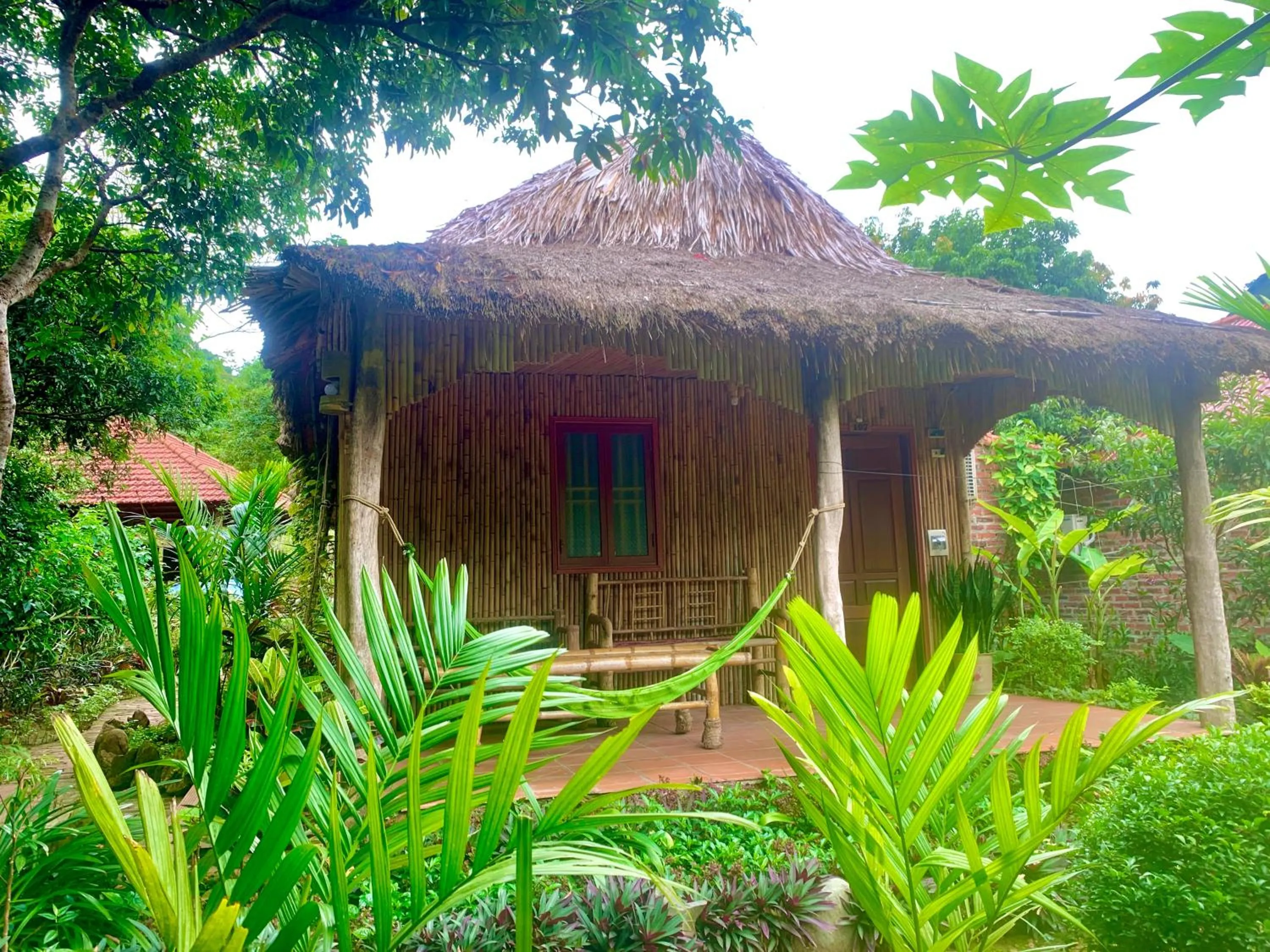 Property building in Lan Homestay