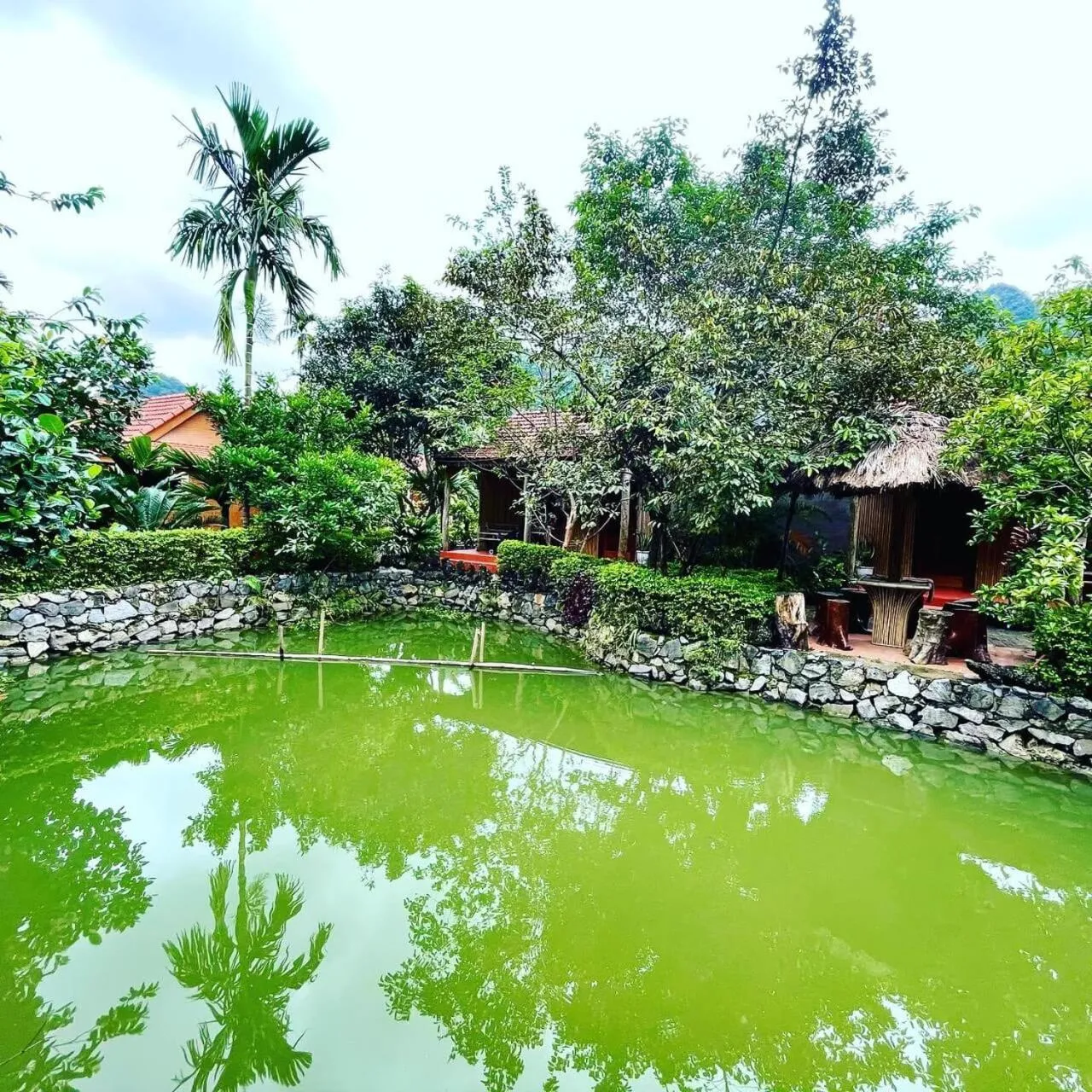 Property building in Lan Homestay