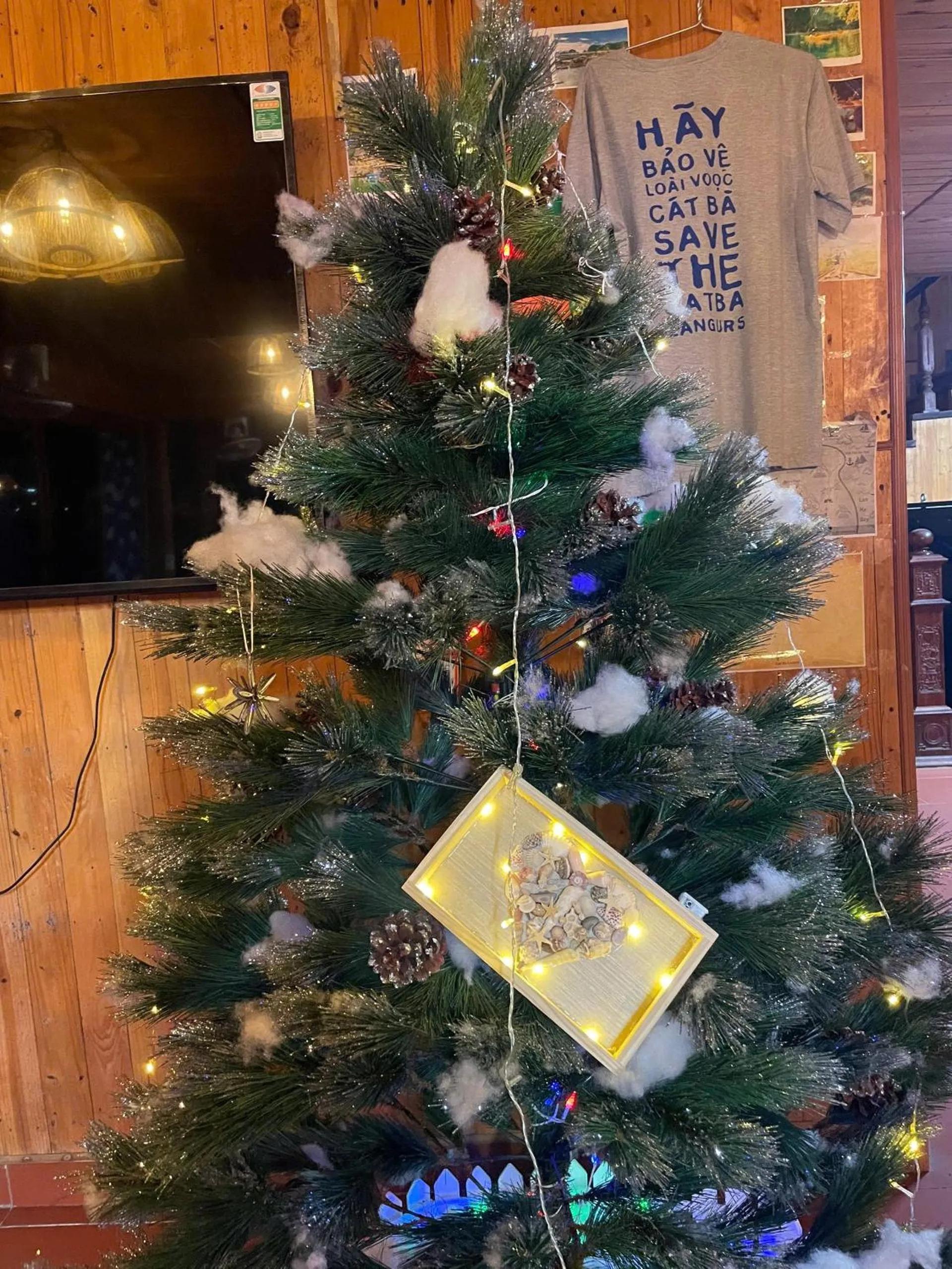 Property building in Lan Homestay