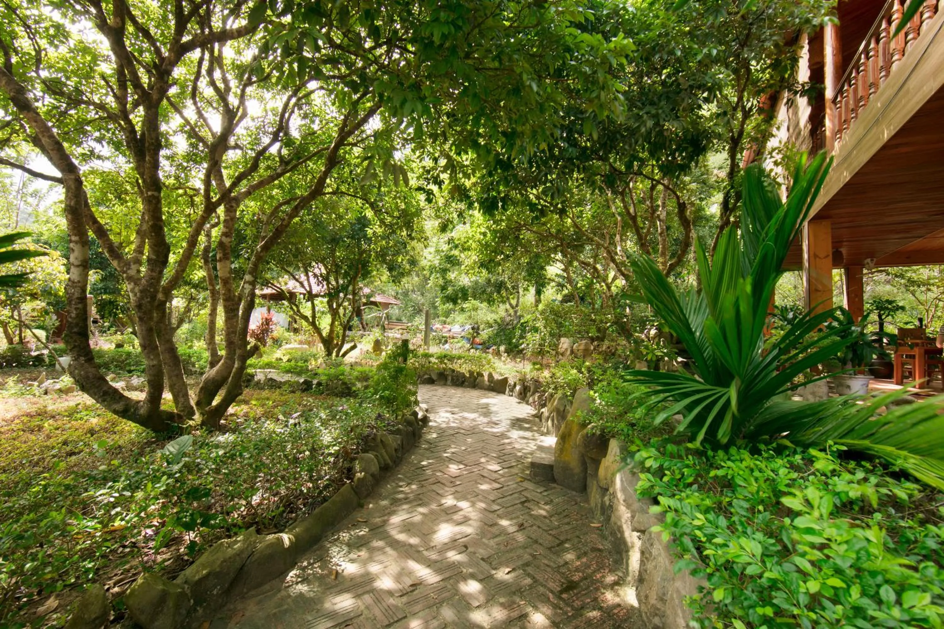 Natural landscape in Lan Homestay