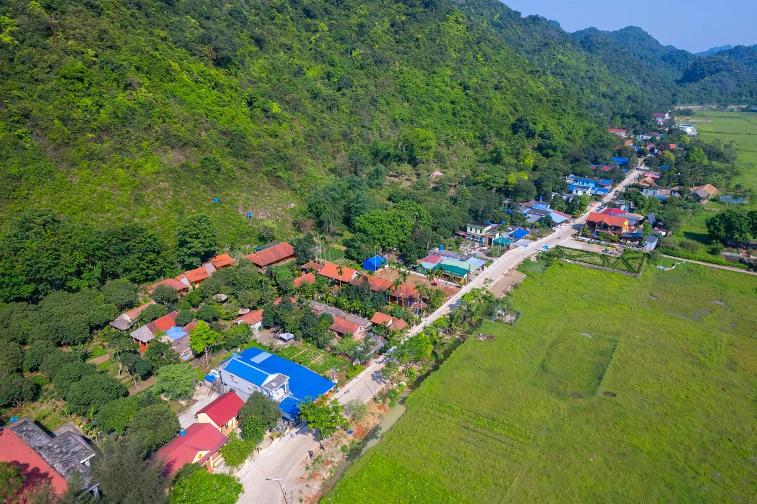 Property building in Lan Homestay