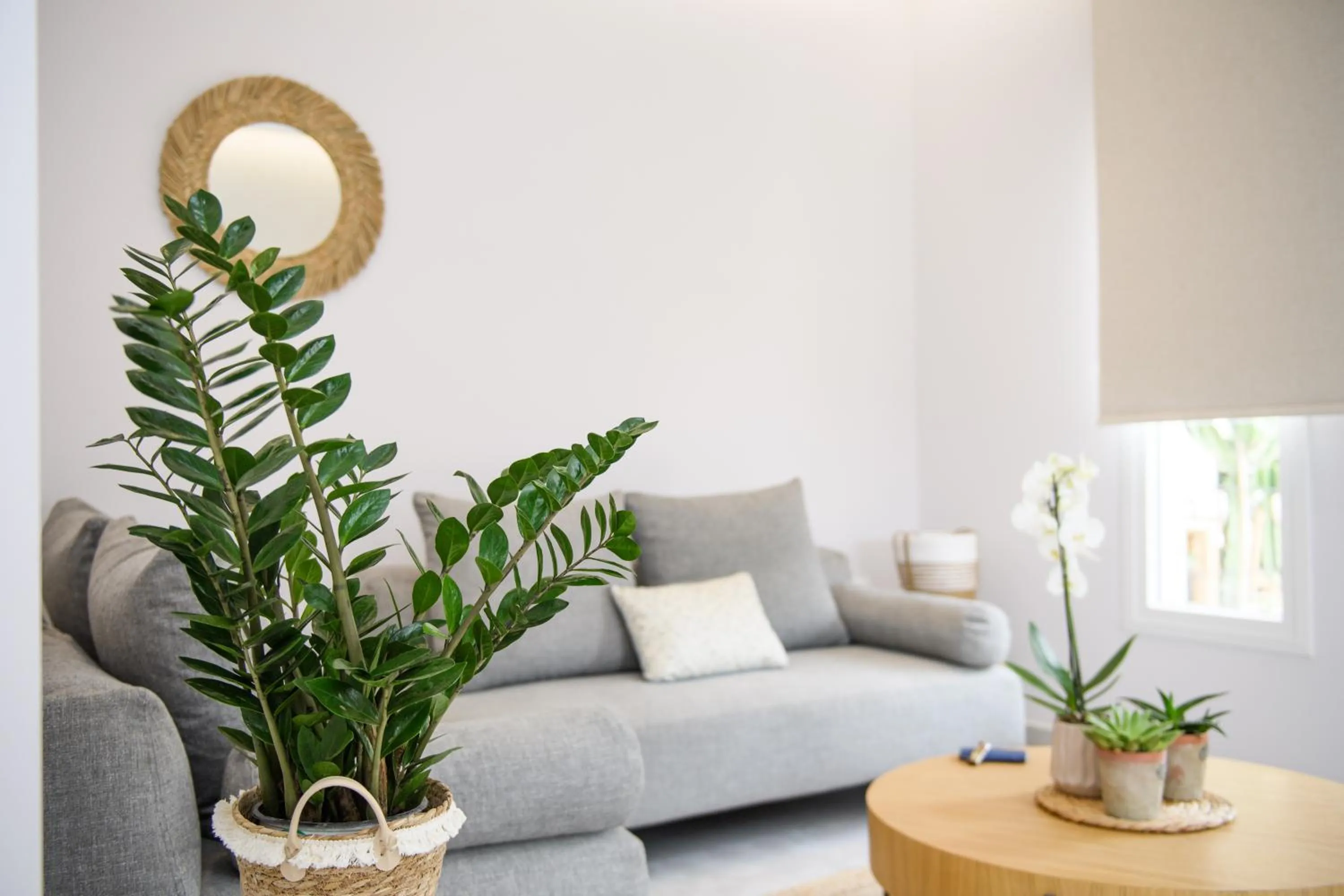 Living room in KORINA APART HOTEL KAVOS