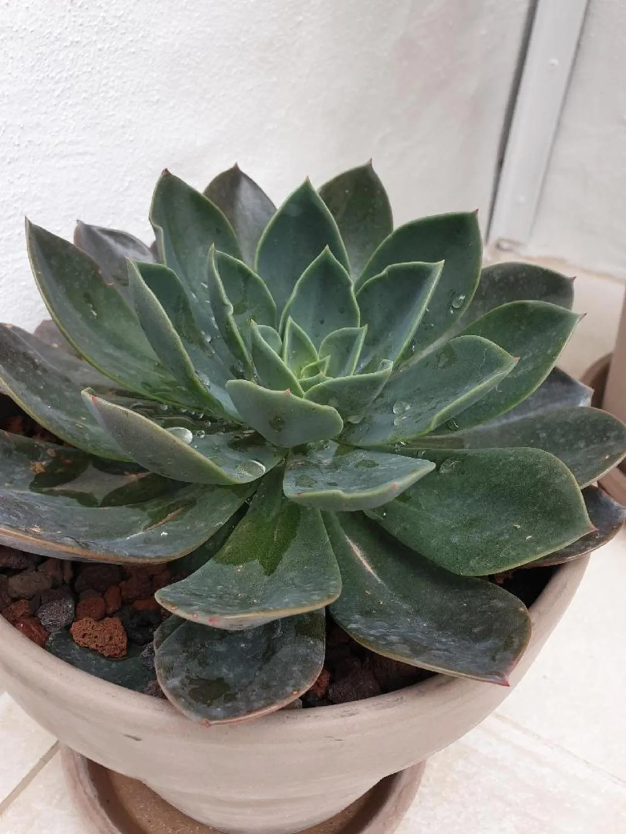 Infinito Hotel Boutique - Adults Only