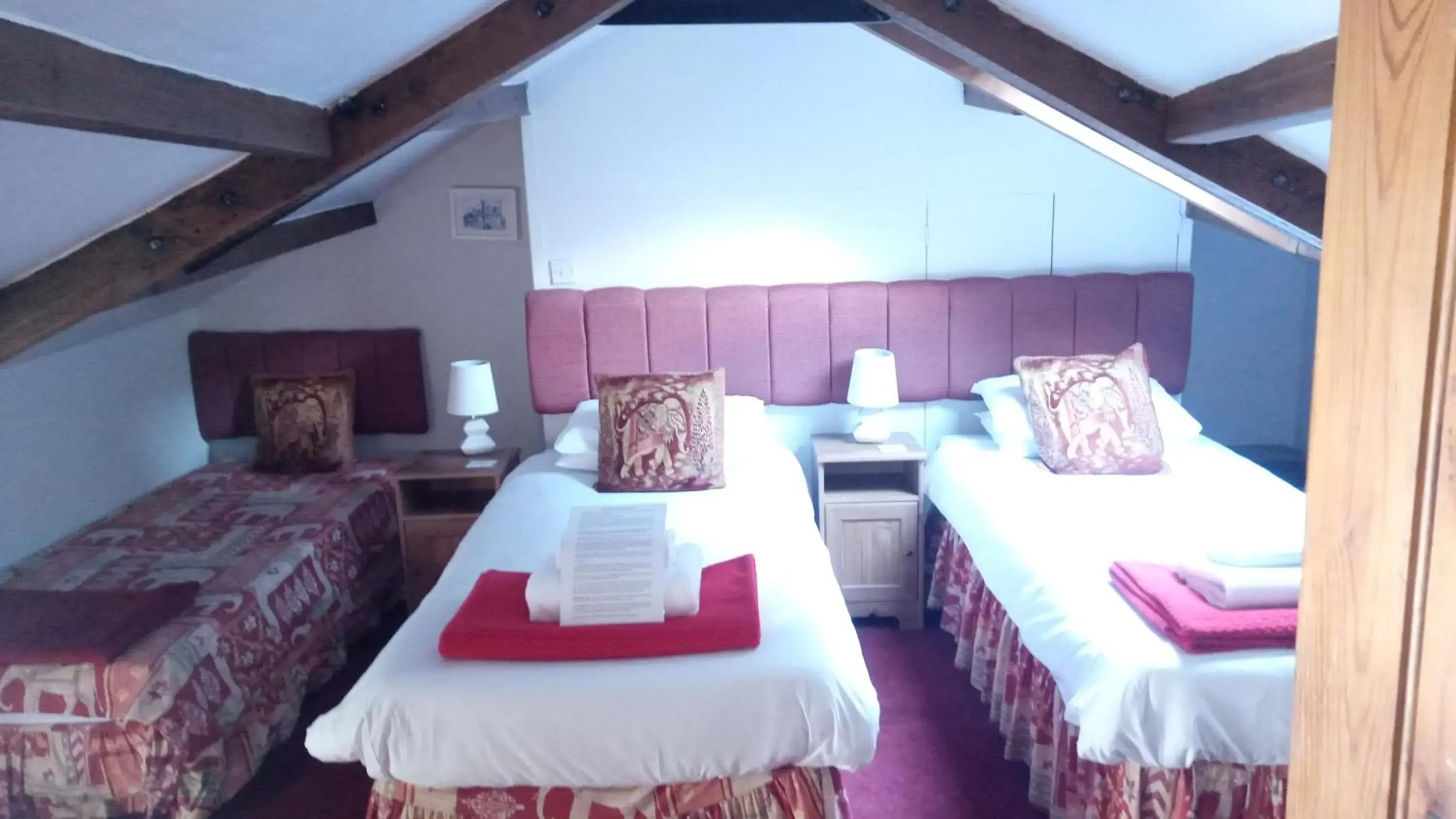 Triple Room with Shower - single occupancy in The George Inn Triple Room with Shower - single occupancy in The George Inn