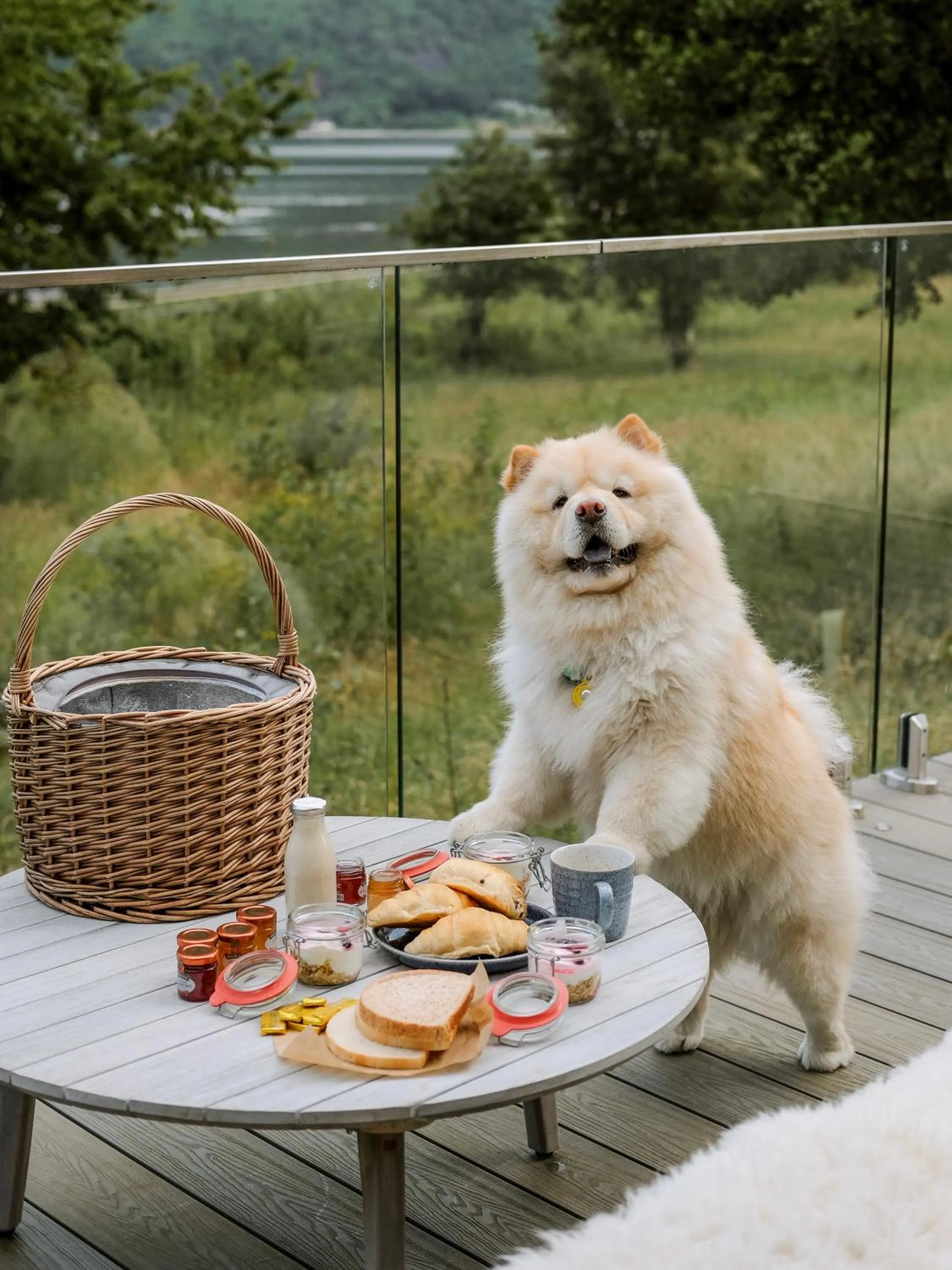 Pets in SeaBeds - Luxury Lookouts with Hot Tubs