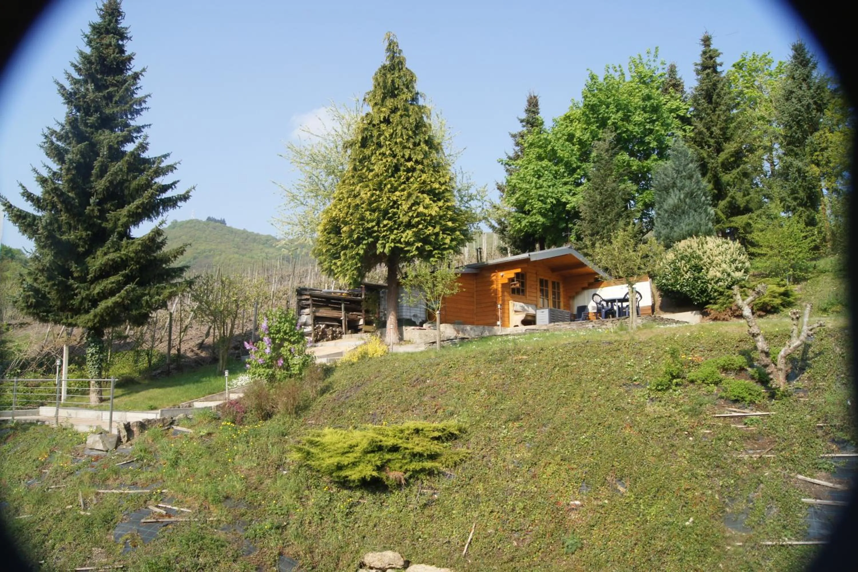 Spring in Hotel Villa Tummelchen